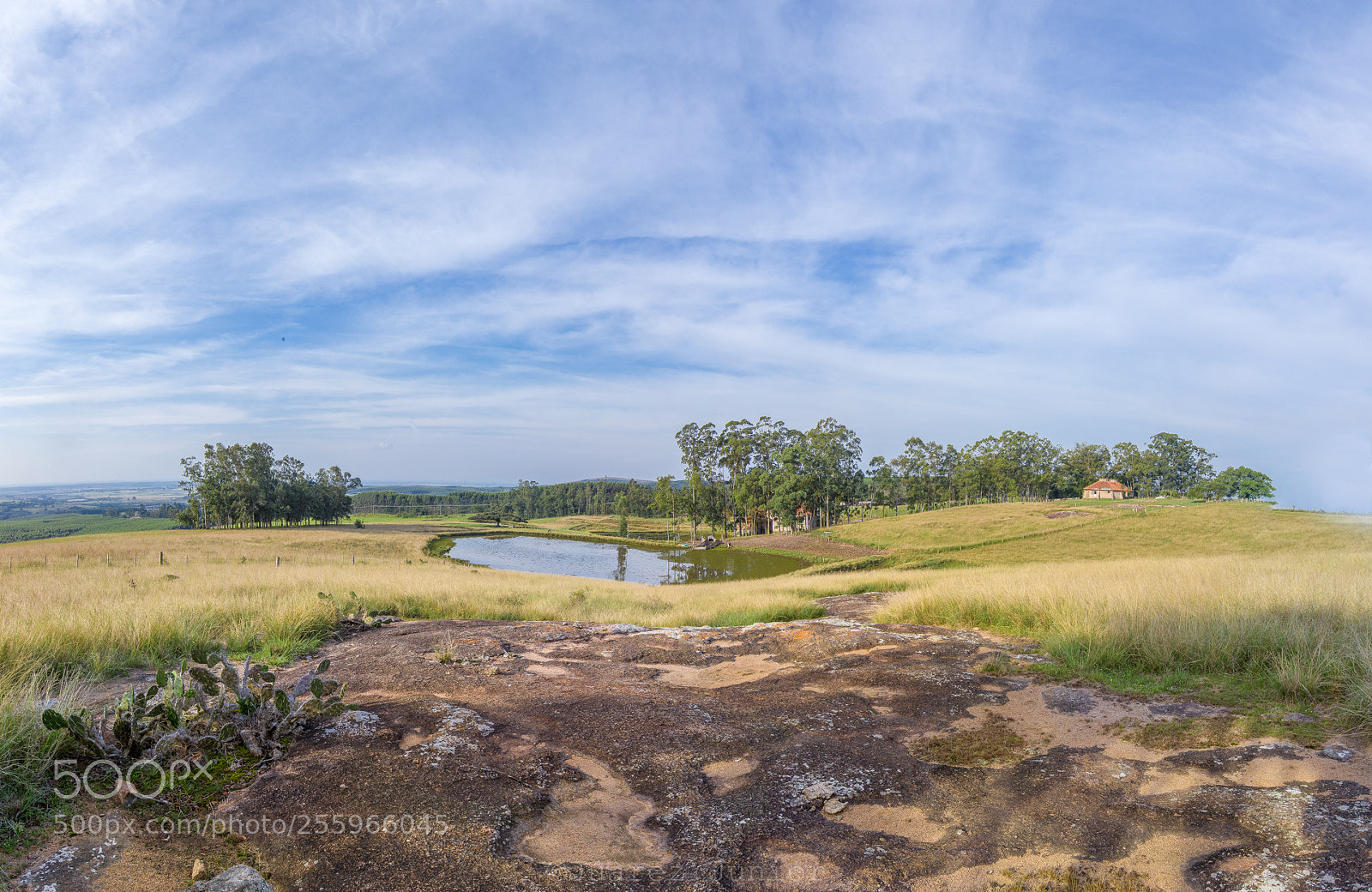 Canon EOS 6D sample photo. Fazenda recanto da figueira photography