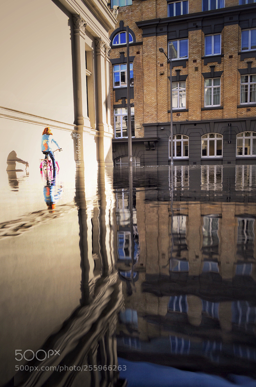 Nikon D5100 sample photo. Reflections photography