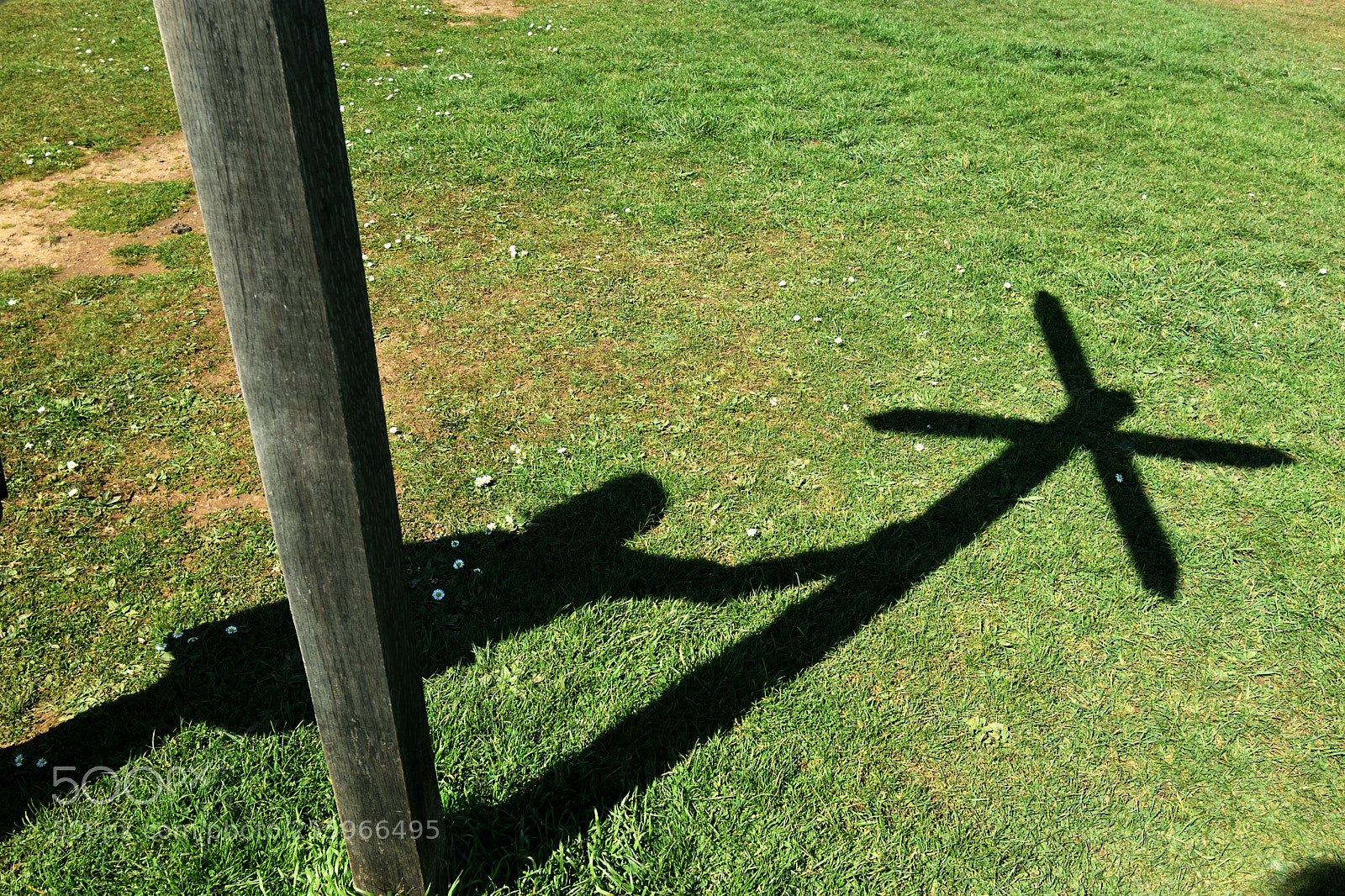 Nikon D5600 sample photo. In no particular direction photography
