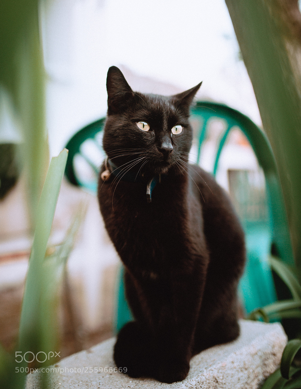 Nikon D610 sample photo. Untitled photography