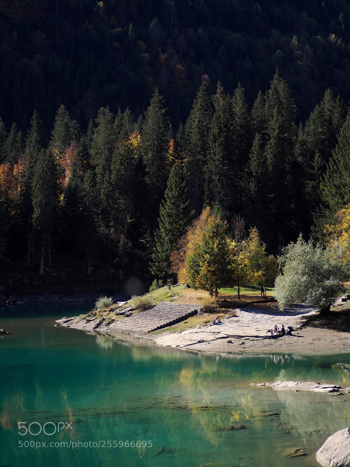 Olympus OM-D E-M10 sample photo. Autumn lake photography
