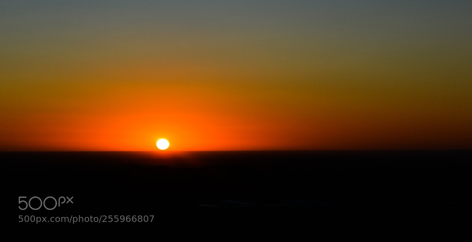 Nikon D3200 sample photo. Untitled photography