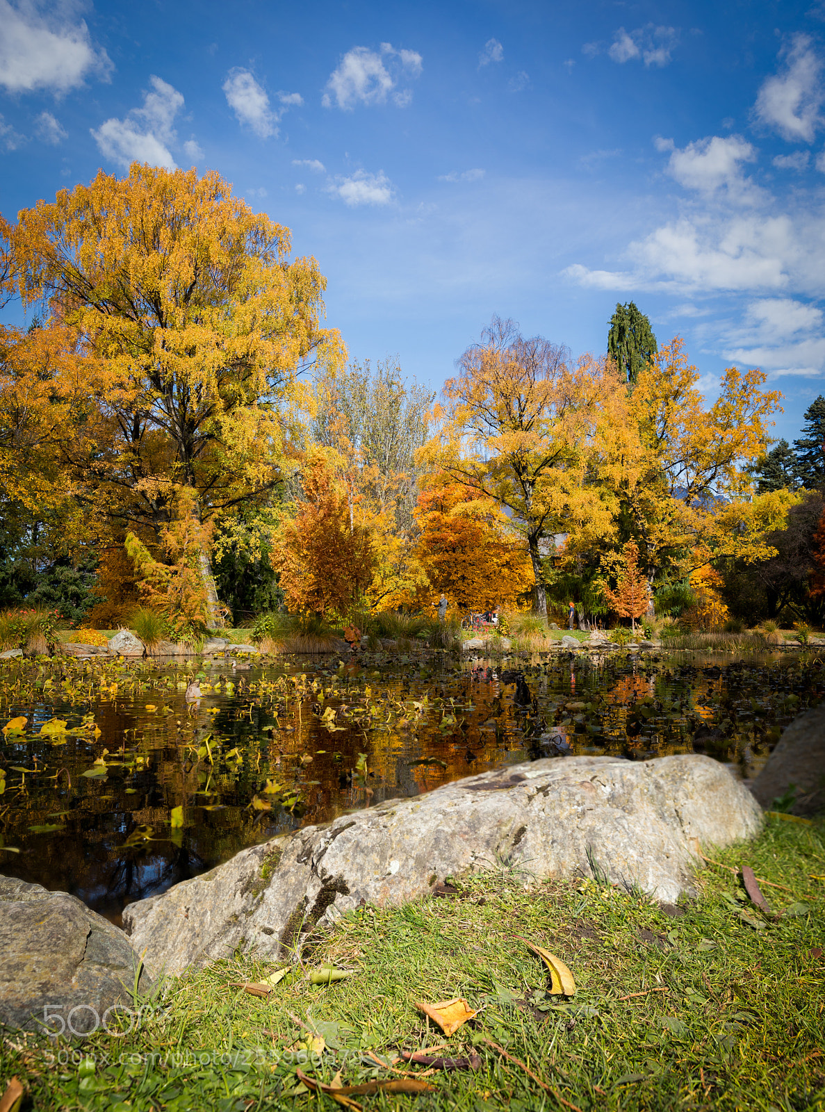 Canon EOS 5D Mark IV sample photo. Foliage at lake hayes photography