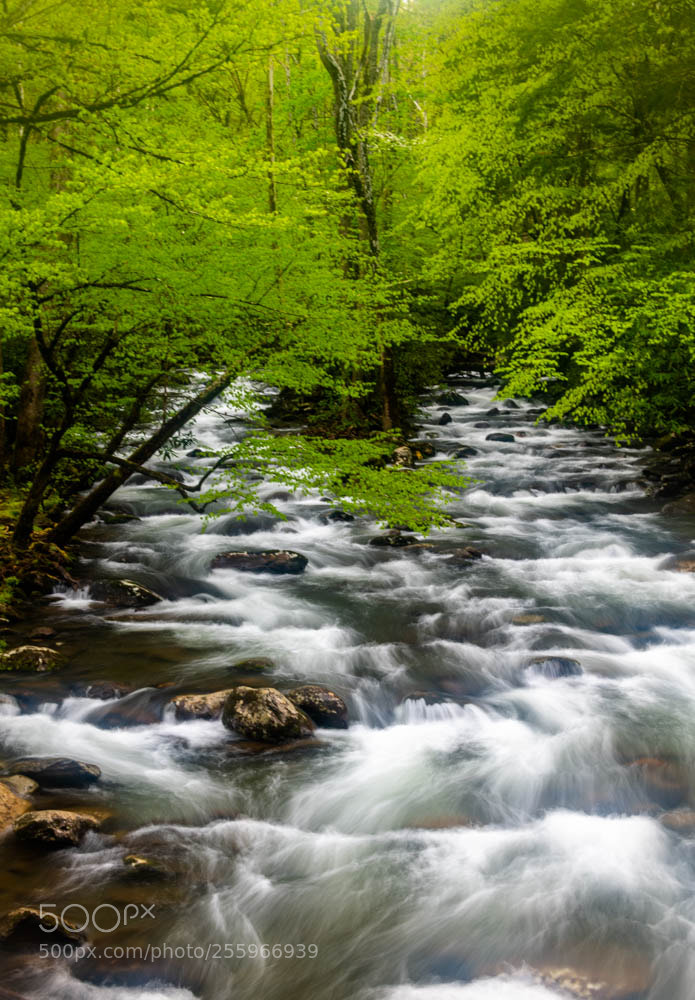 Nikon D850 sample photo. Evening on the river photography