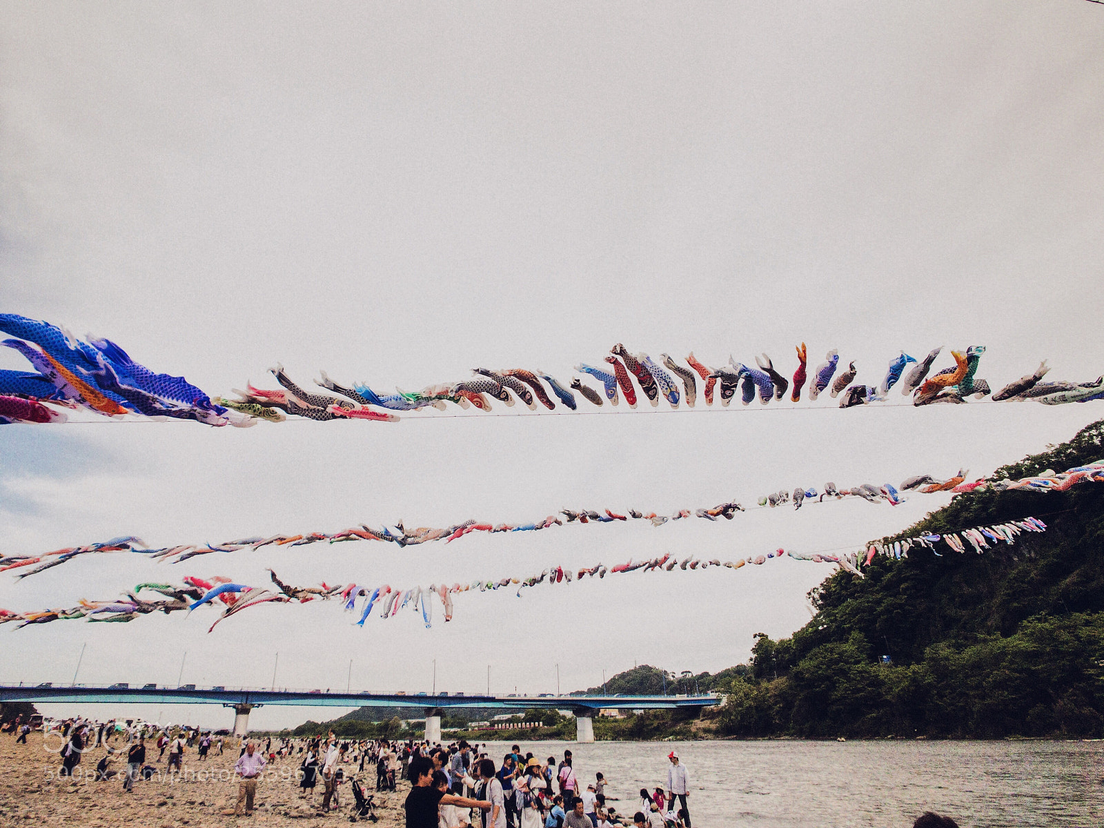 Apple iPhone 7 Plus sample photo. Koinobori photography