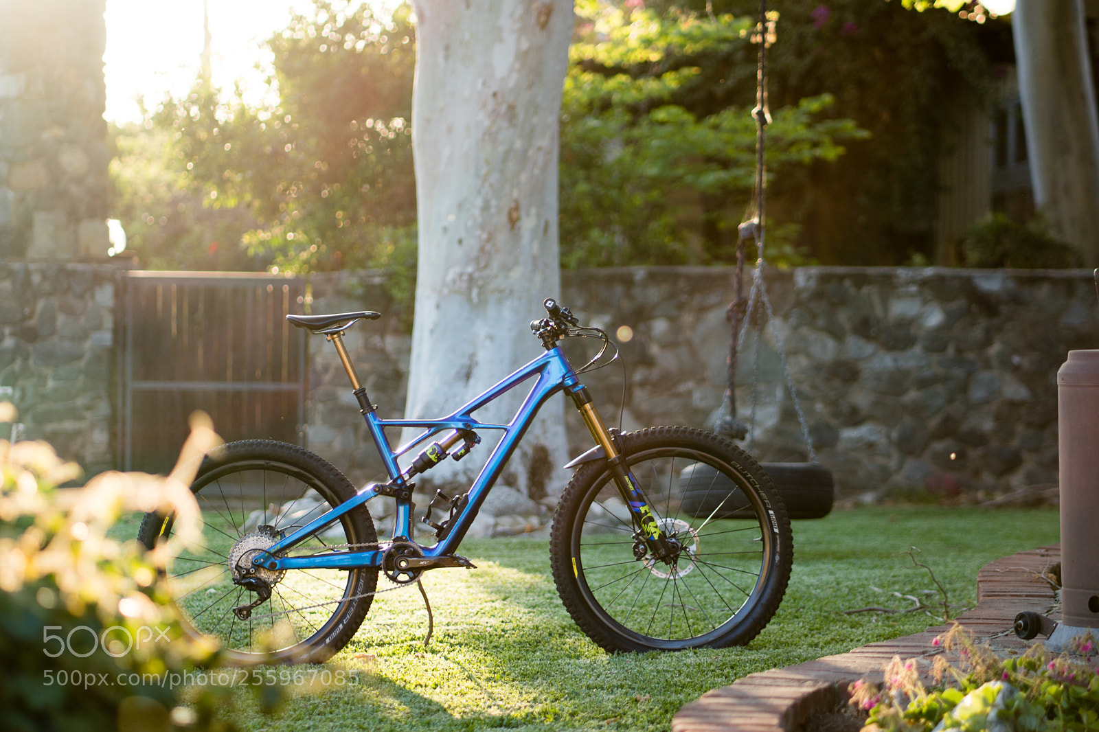 Sony a6300 sample photo. Dsc photography