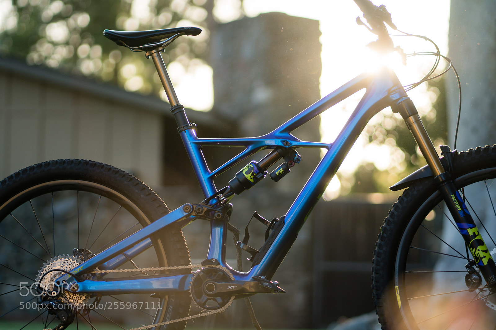 Sony a6300 sample photo. Dsc photography