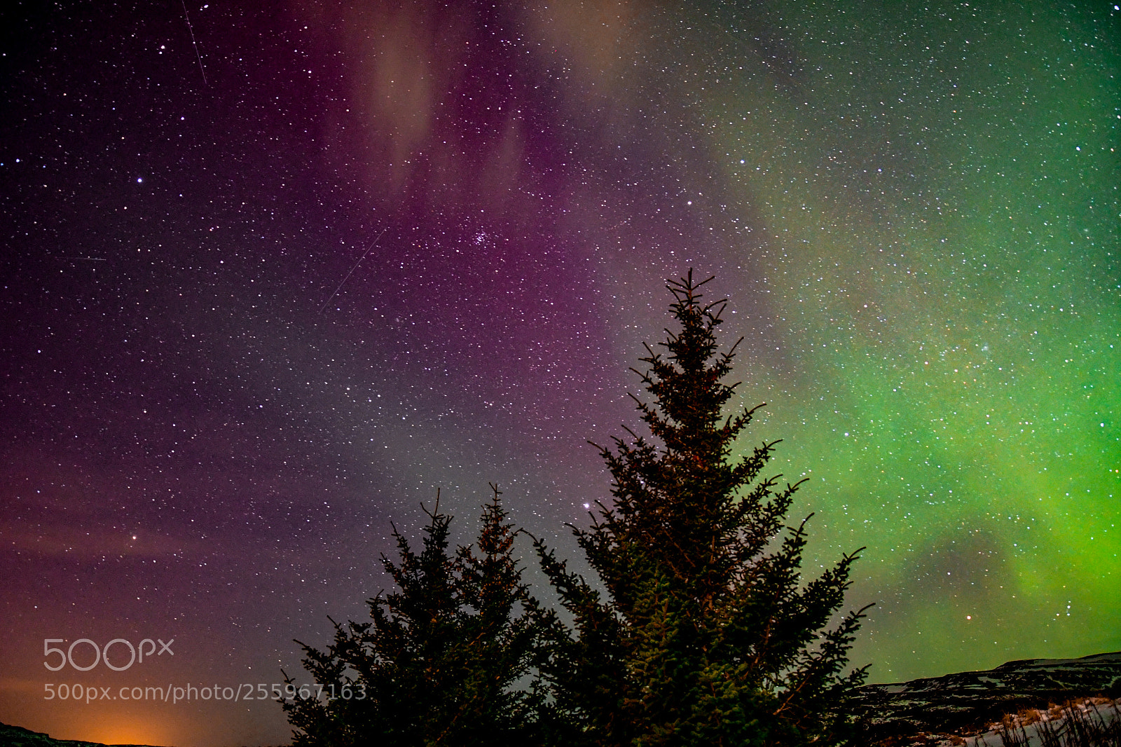 Nikon D7500 sample photo. Night sky! photography
