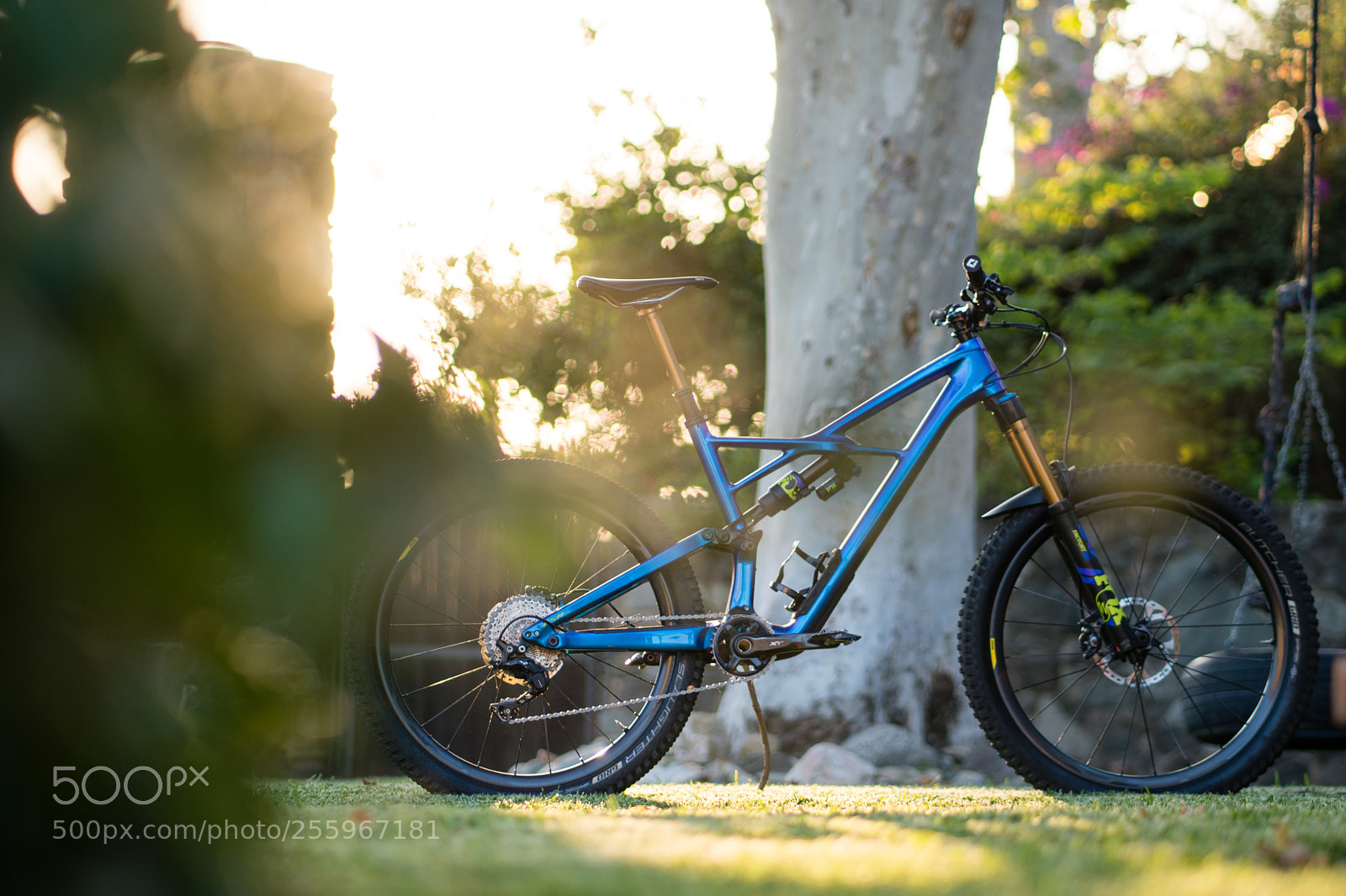 Sony a6300 sample photo. Dsc photography