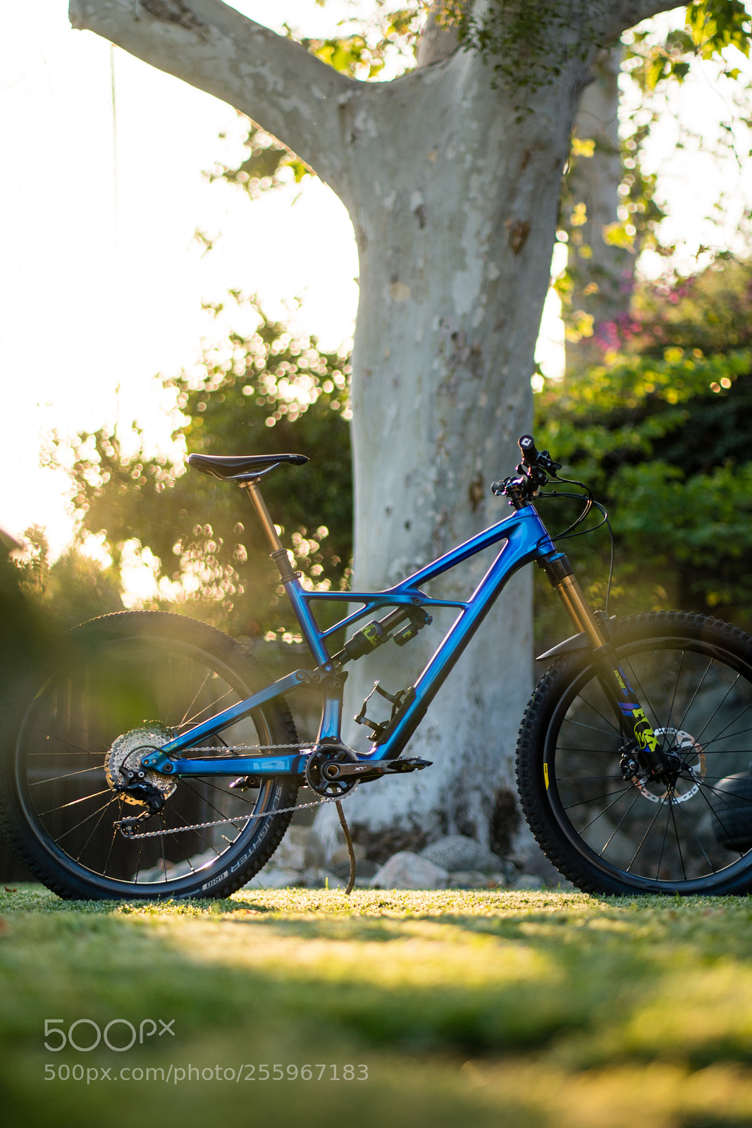 Sony a6300 sample photo. Dsc photography