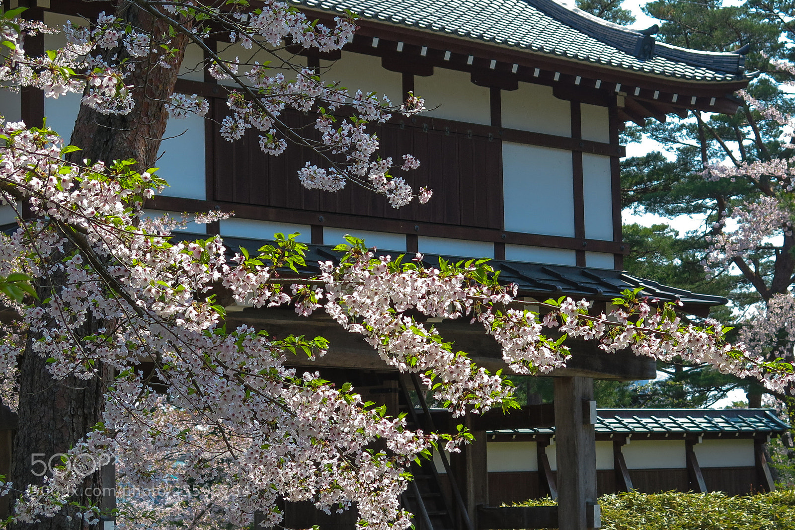 Canon PowerShot G16 sample photo. Kubota castle gate photography