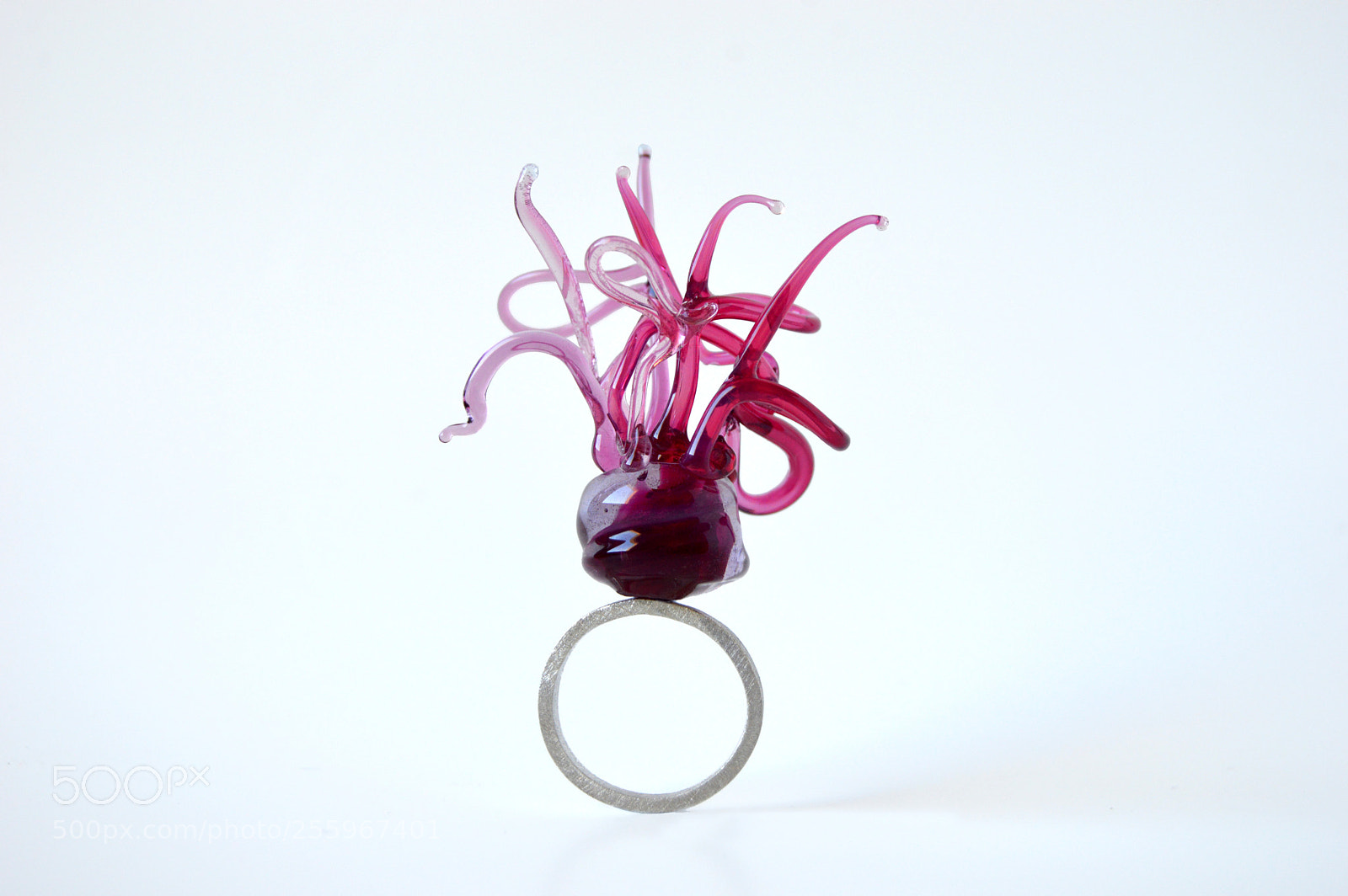 Nikon D3200 sample photo. Glass ring photography