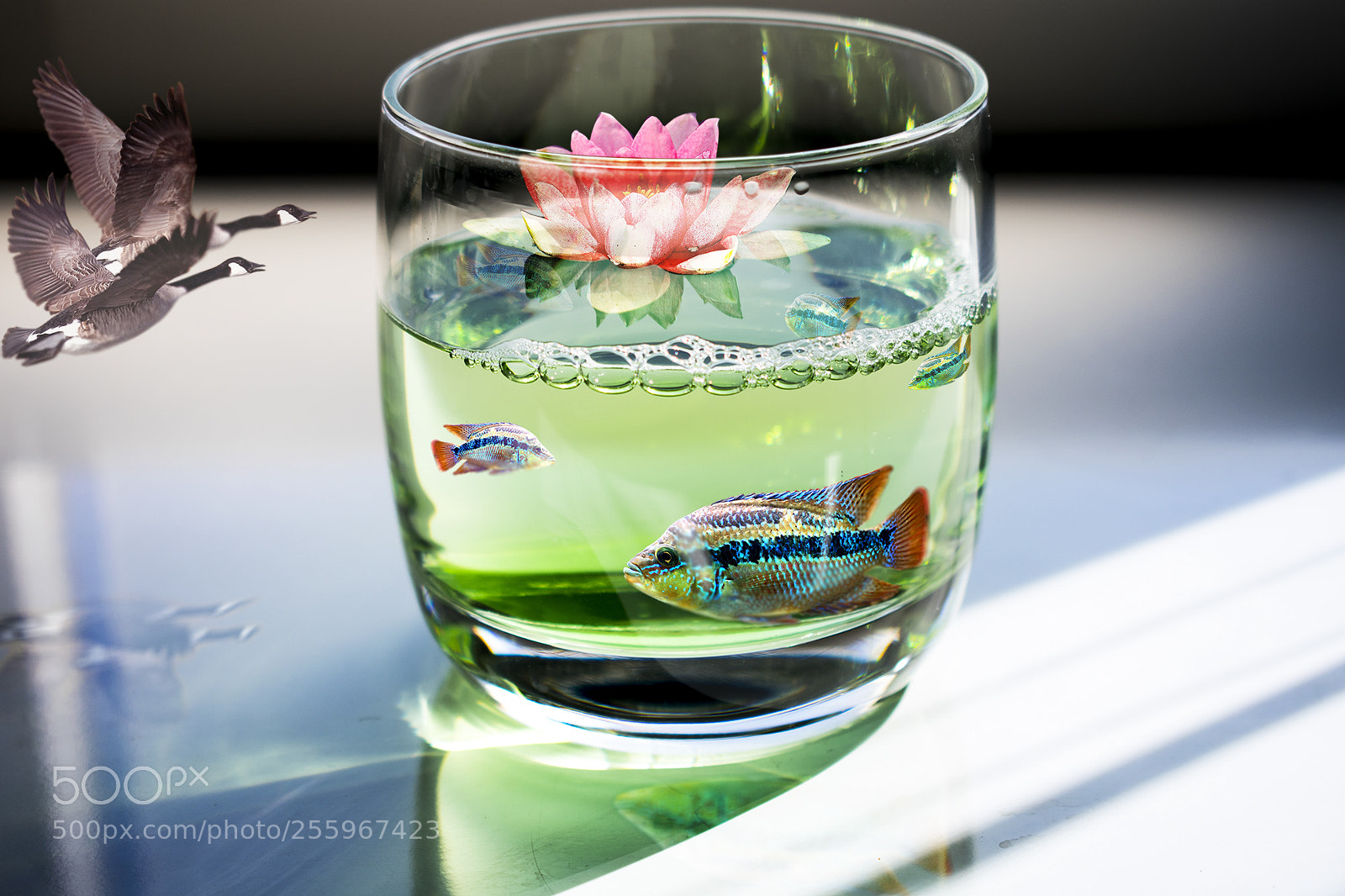 Nikon D3400 sample photo. Nr 128 photography