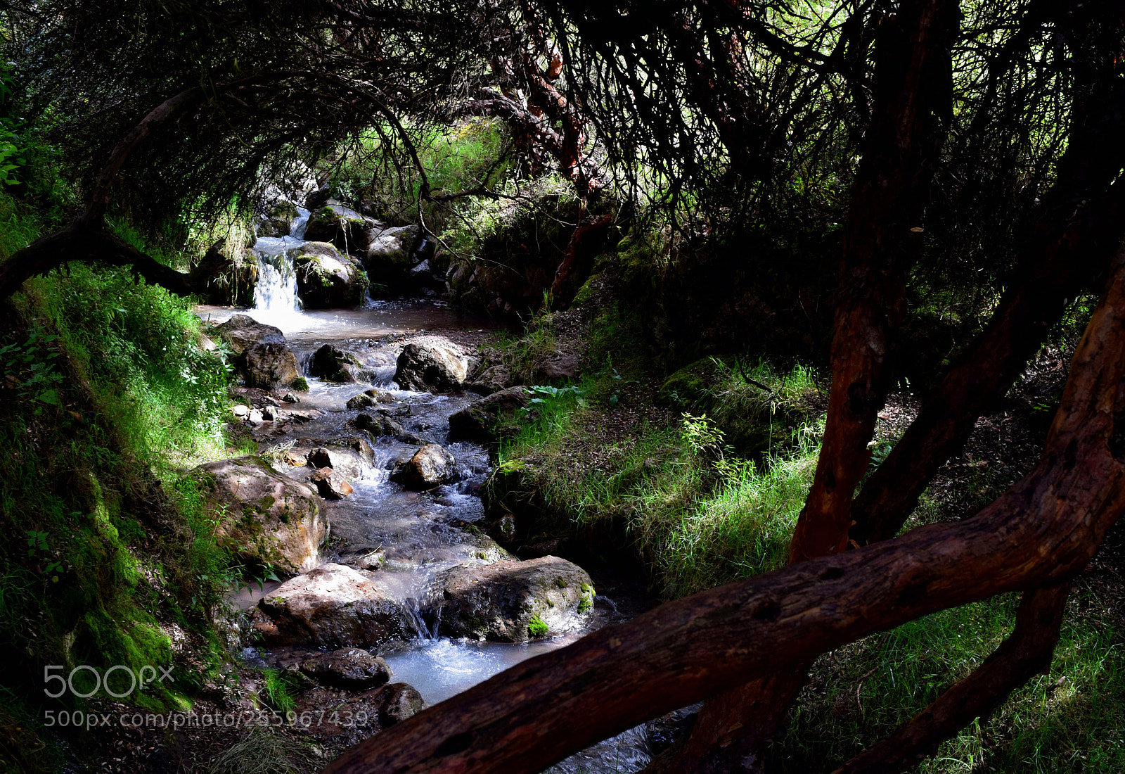 Nikon D3300 sample photo. Tambomachay stream photography