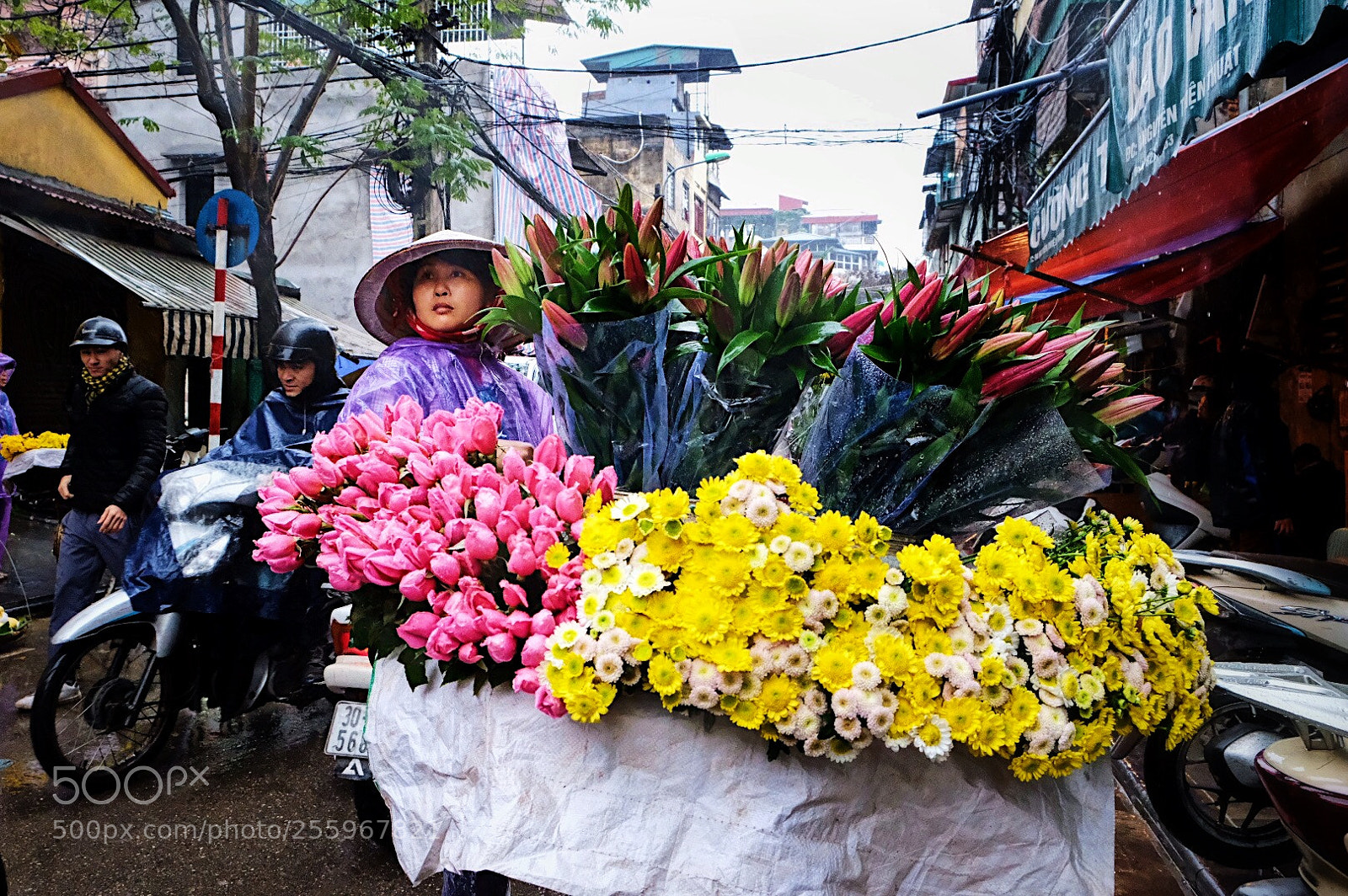 Fujifilm X-T2 sample photo. Faddae cdb deab dceff photography