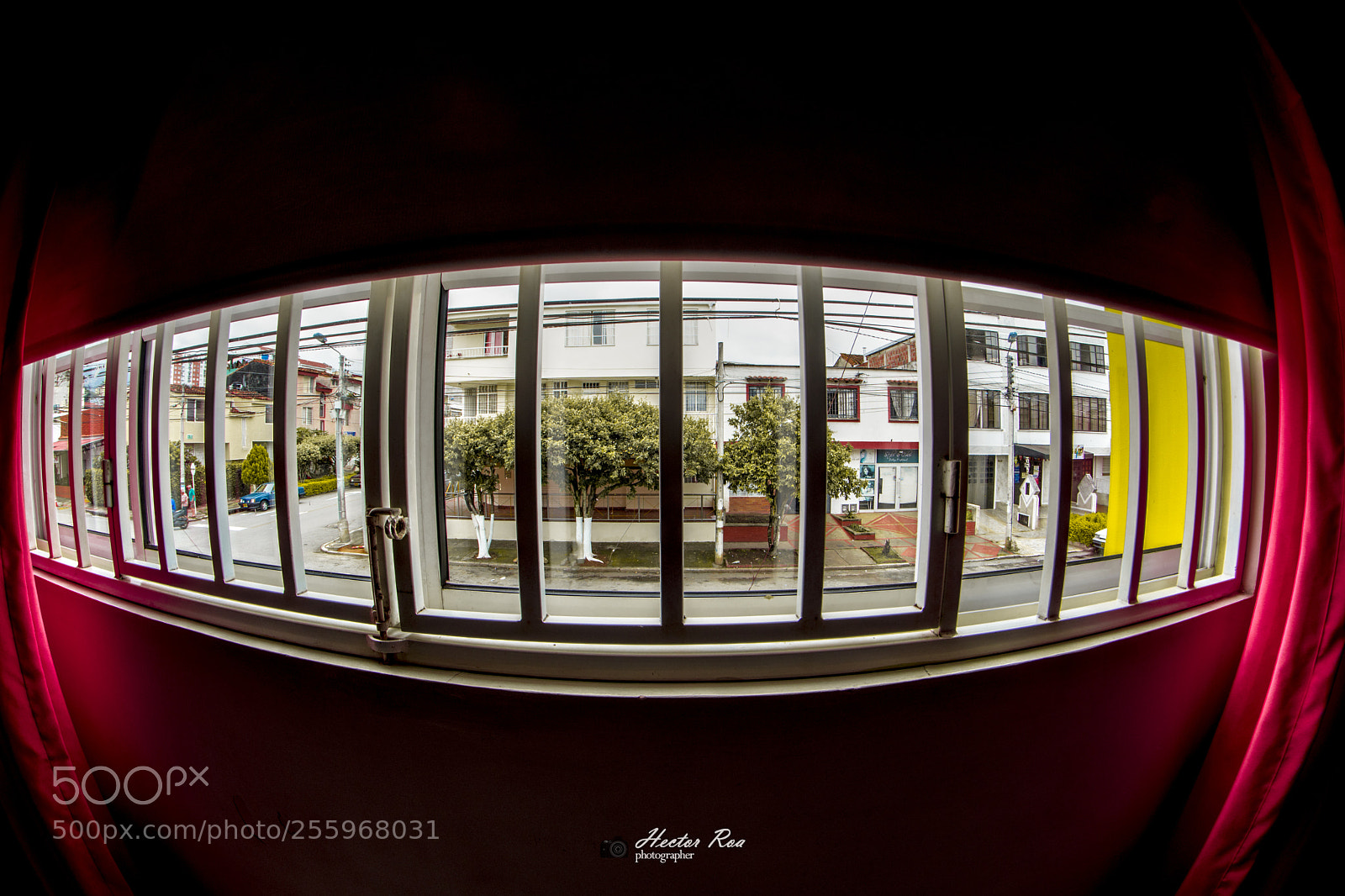 Nikon D7200 sample photo. The big window photography