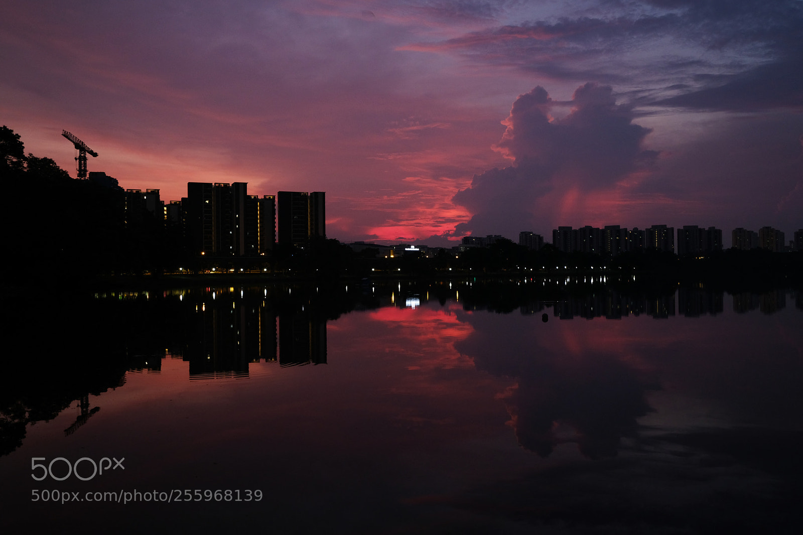 Fujifilm X-T20 sample photo. Dscf2492-1.jpg photography