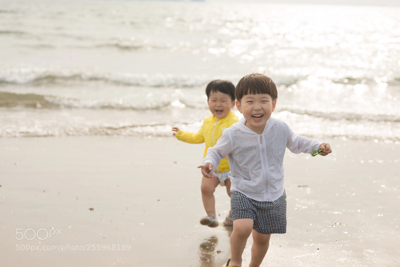Nikon D800E sample photo. Untitled photography