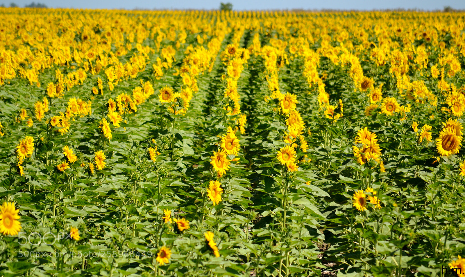 Nikon D3100 sample photo. Afbb o () photography