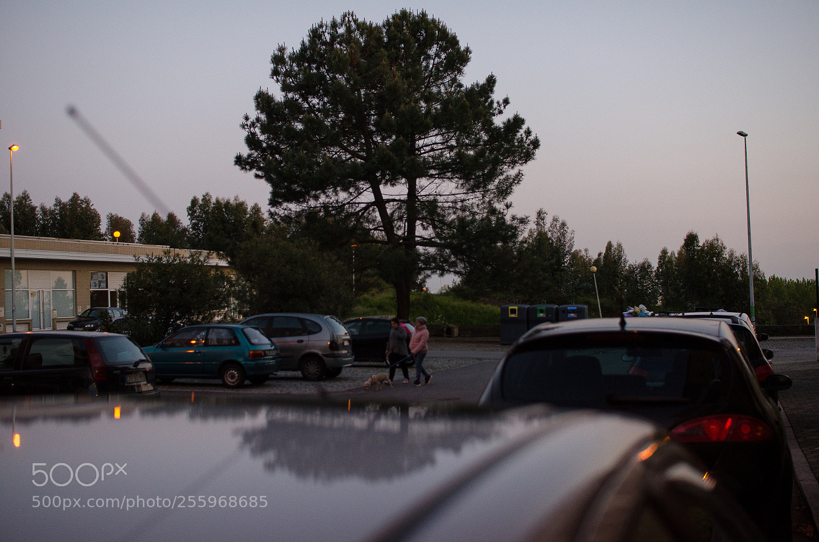 Nikon D7000 sample photo. Radio photography