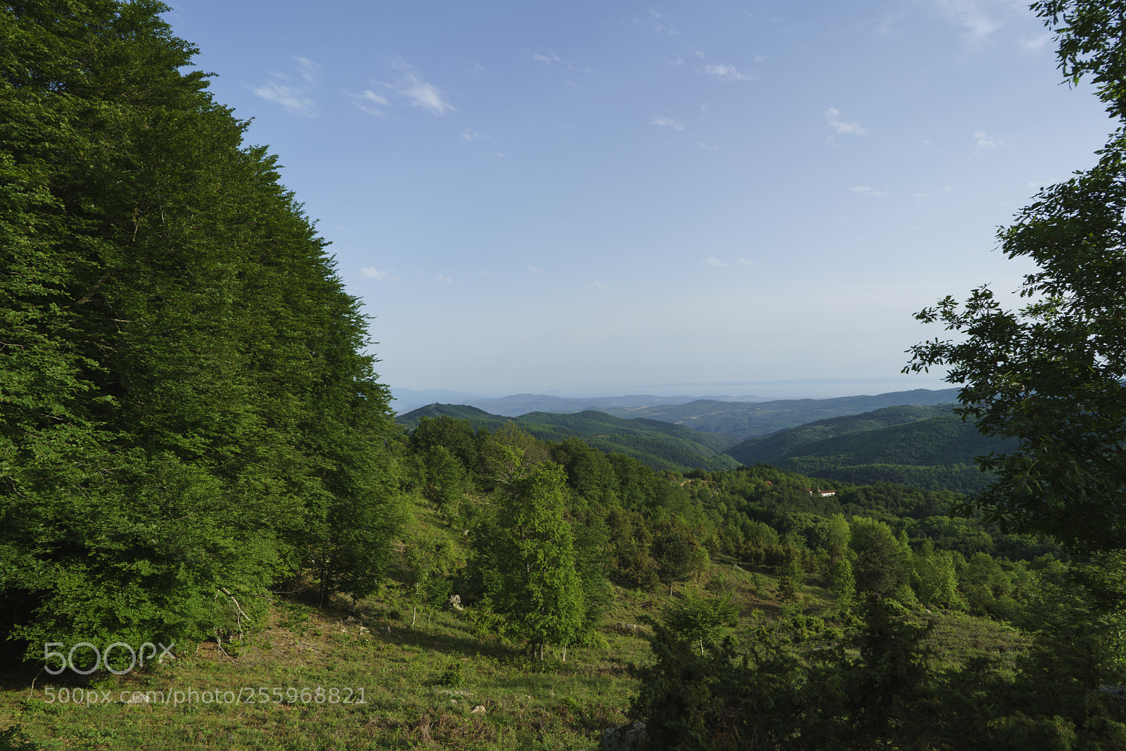 Sony a7R II sample photo. Dsc photography