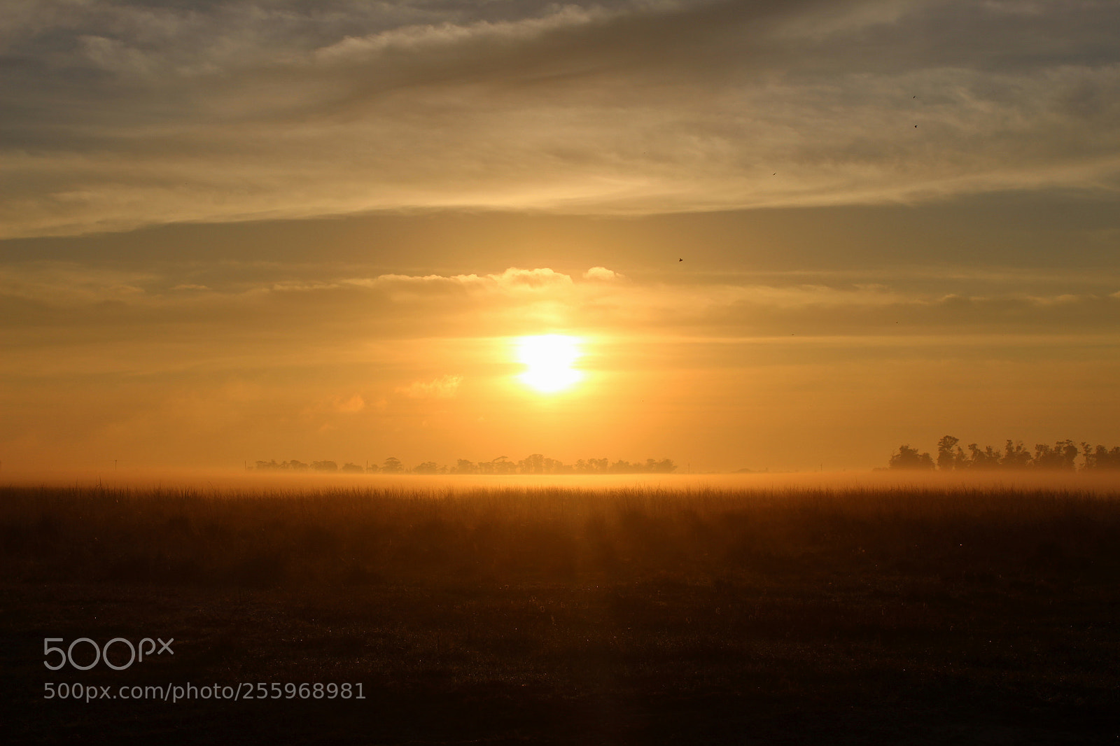 Canon EOS 1300D (EOS Rebel T6 / EOS Kiss X80) sample photo. Sunrise photography