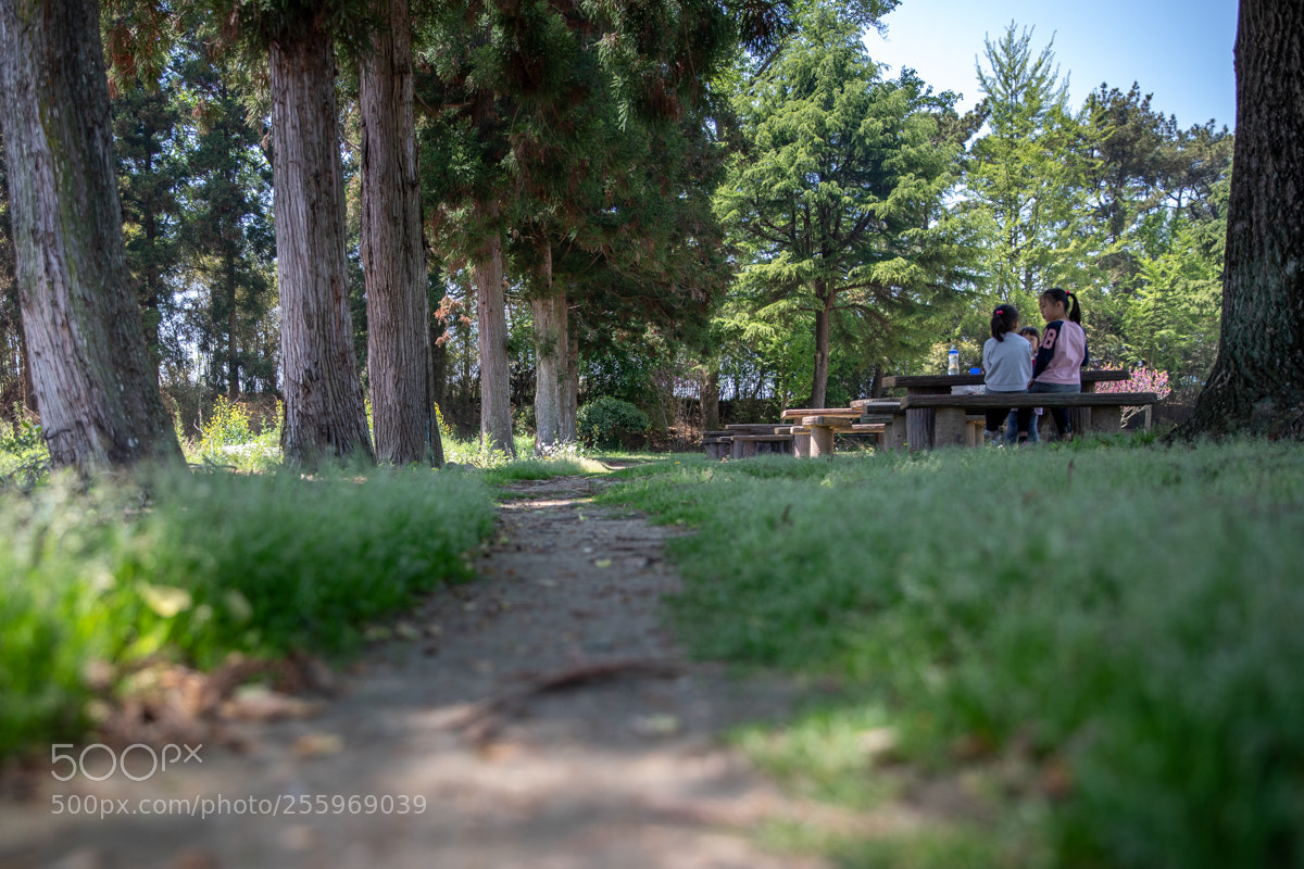 Canon EOS 5D Mark IV sample photo. 소풍 photography