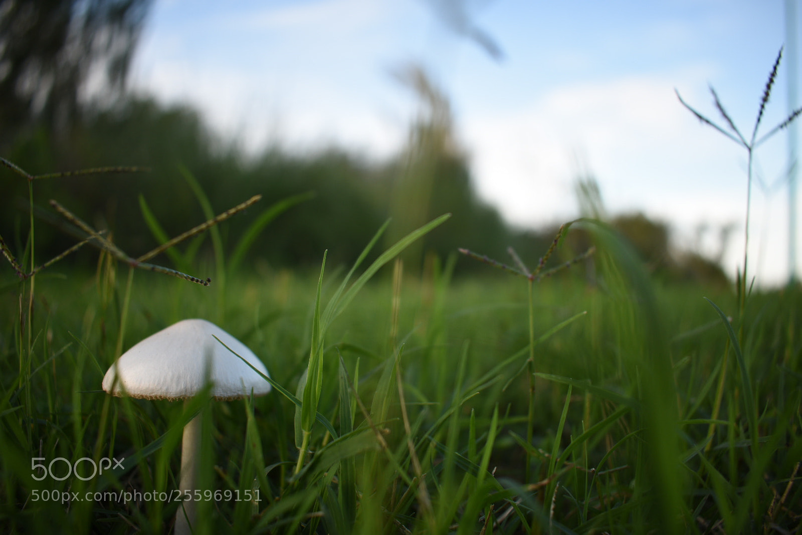 Nikon D3400 sample photo. Untitled photography