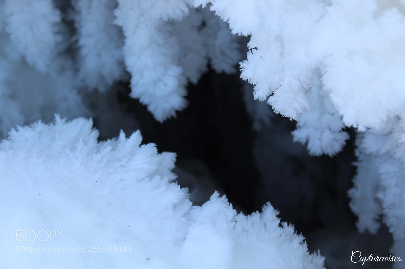 Canon EOS 1300D (EOS Rebel T6 / EOS Kiss X80) sample photo. Thin hairs of ice photography