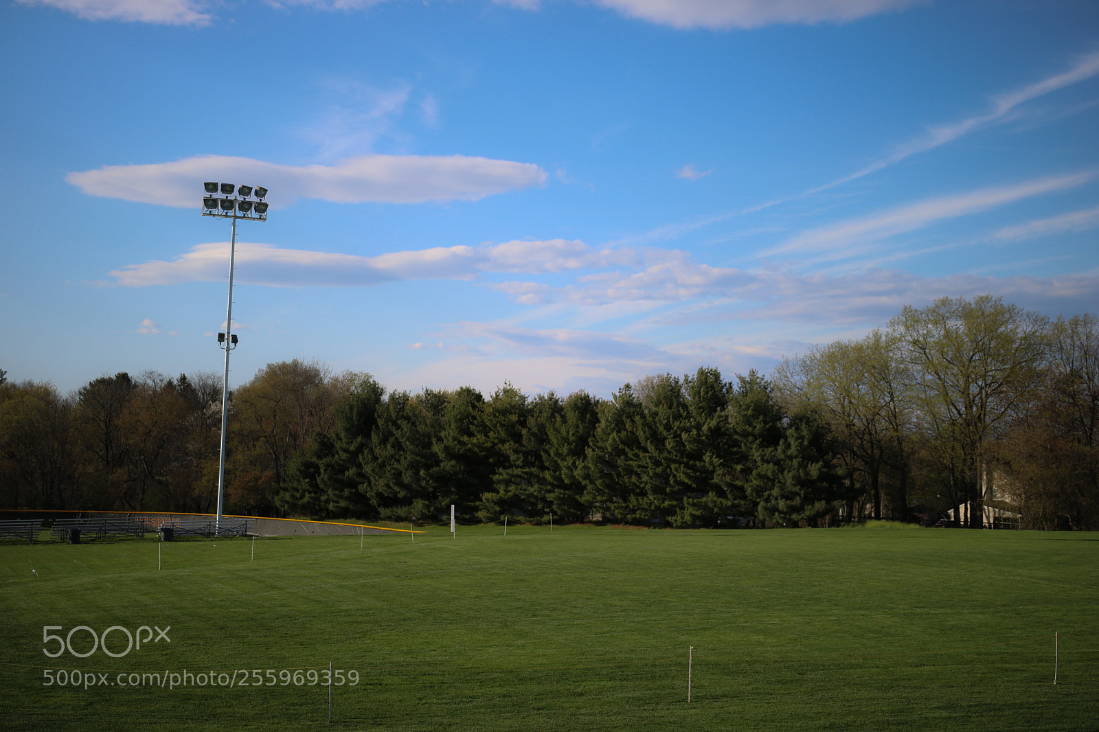 Canon EOS 750D (EOS Rebel T6i / EOS Kiss X8i) sample photo. Past the trees photography