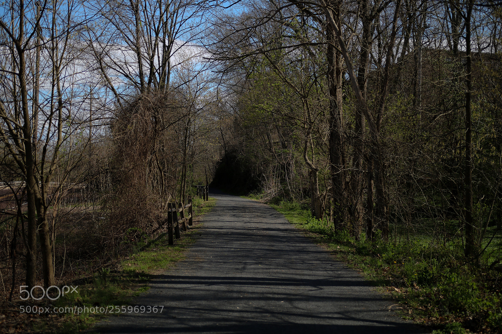 Canon EOS 750D (EOS Rebel T6i / EOS Kiss X8i) sample photo. Path to nowhere photography