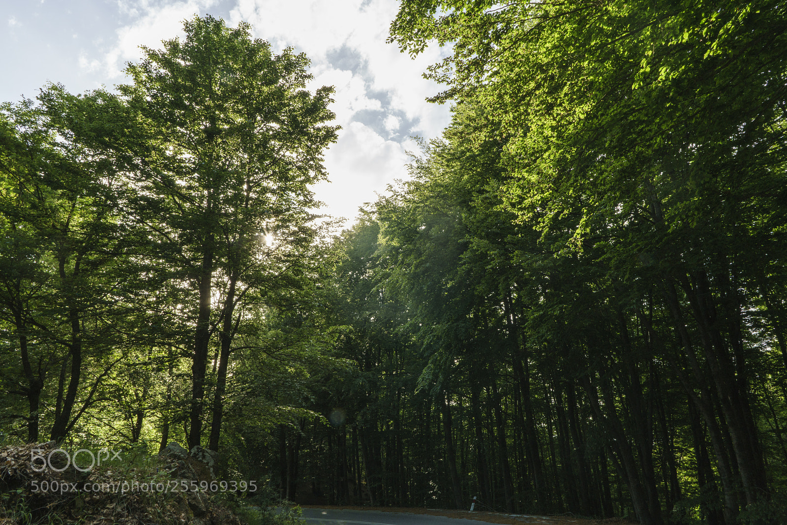 Sony a7R II sample photo. Dsc photography