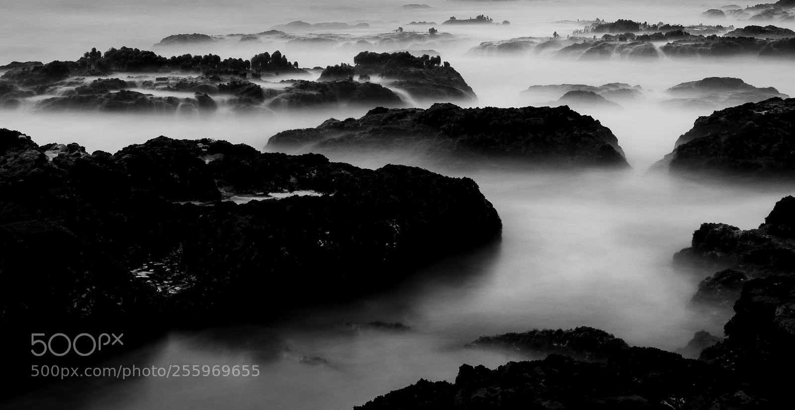 Canon EOS 5D Mark IV sample photo. Sea of fog photography