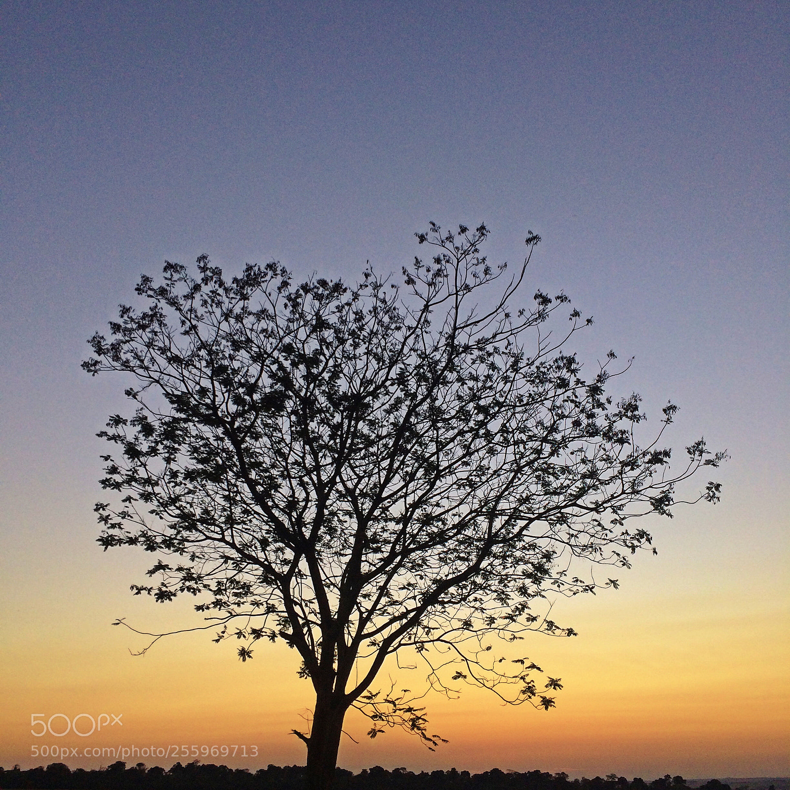 Apple iPhone 5s sample photo. Contrast photography