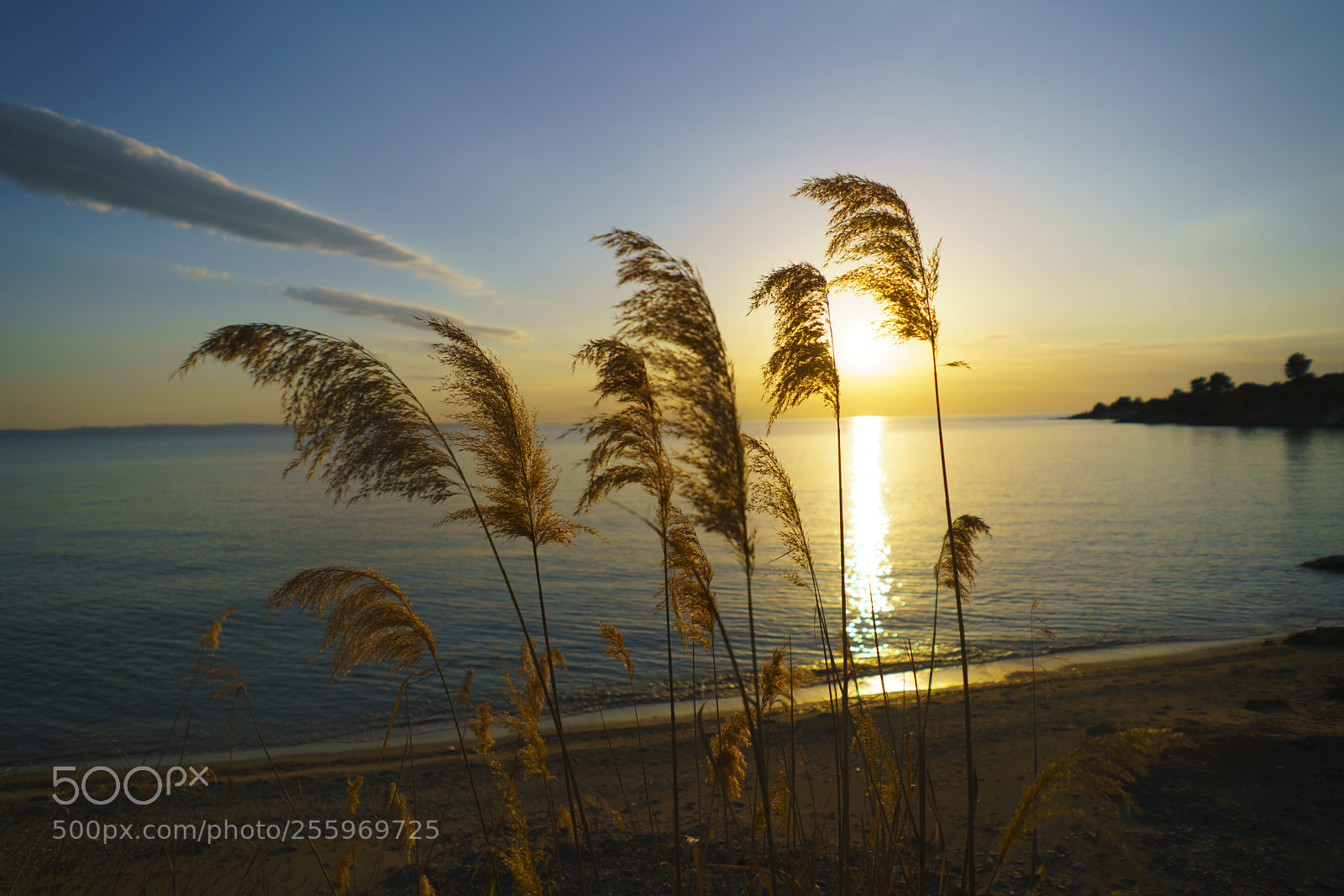Sony a7R II sample photo. Dsc02017_.jpg photography