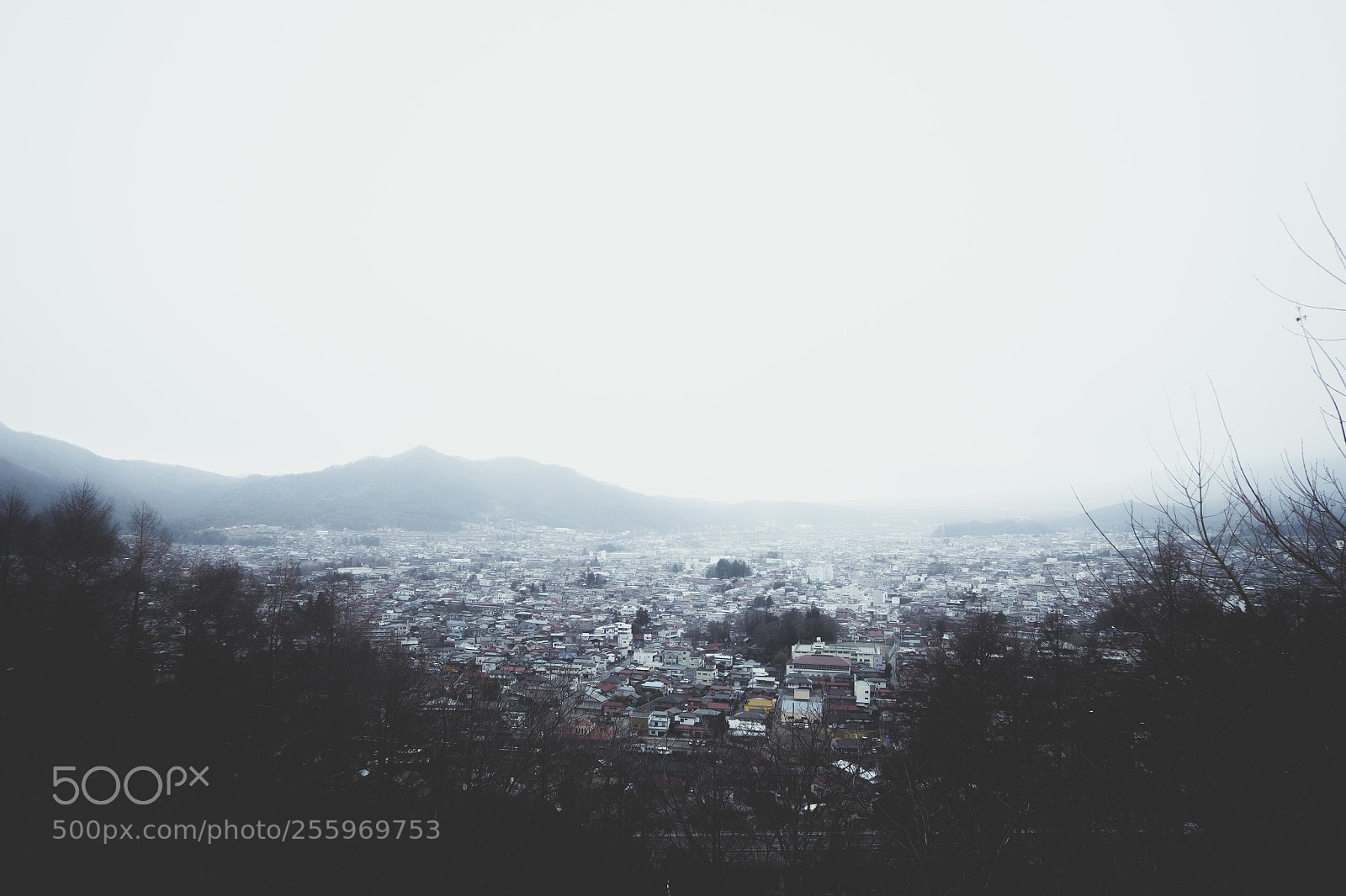 Fujifilm X-E2 sample photo. Yamanashi in fog photography