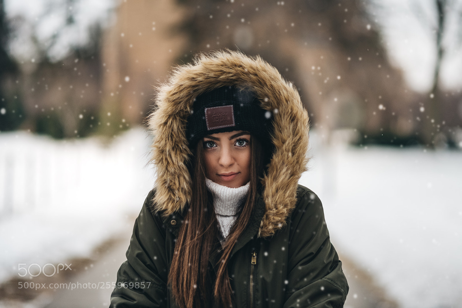Nikon D800 sample photo. Winter mood photography