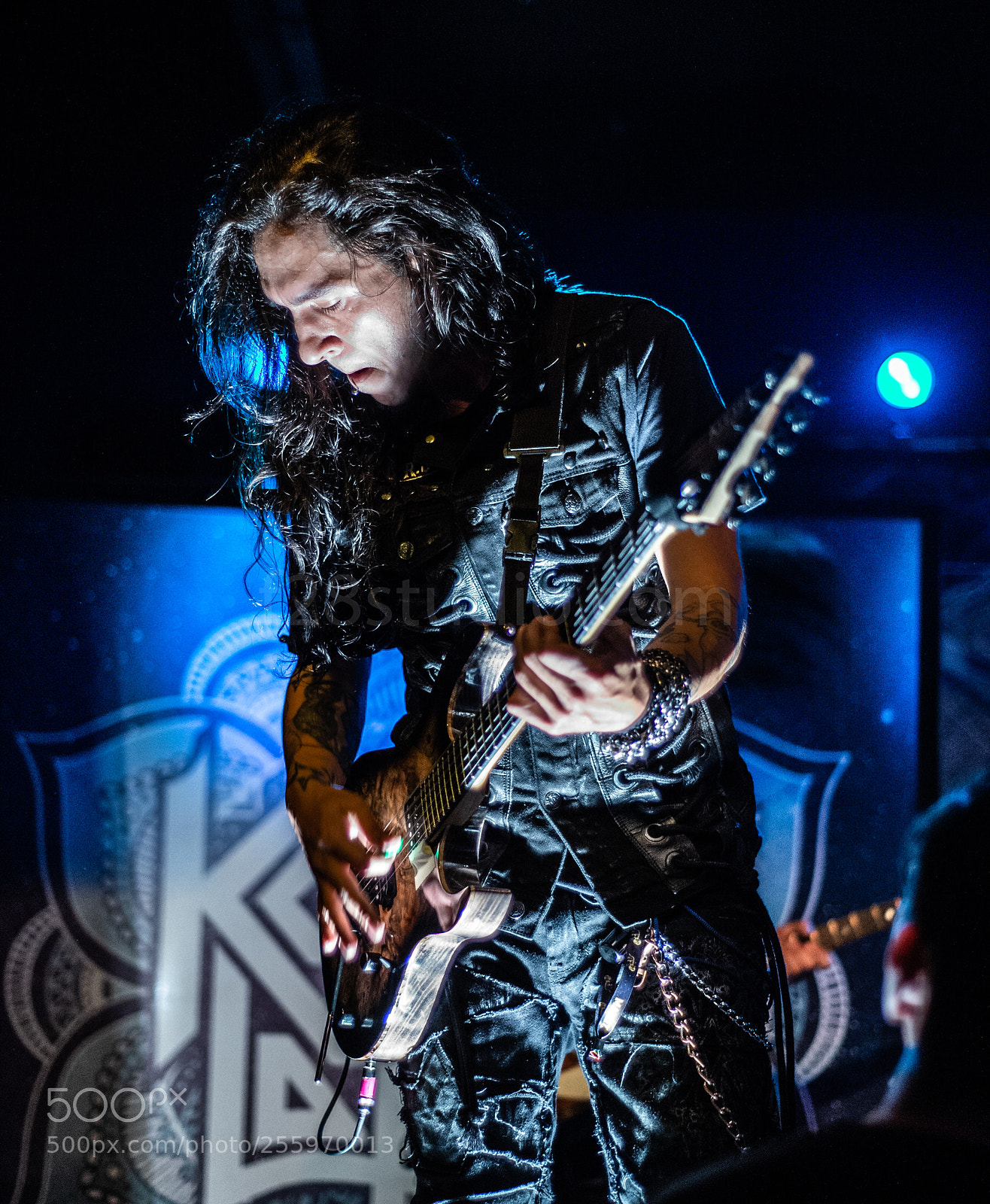 Nikon D4 sample photo. Kobra and the lotus photography