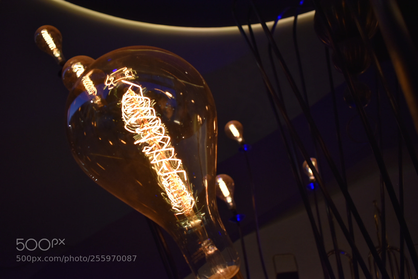 Nikon D5600 sample photo. Light in blue photography