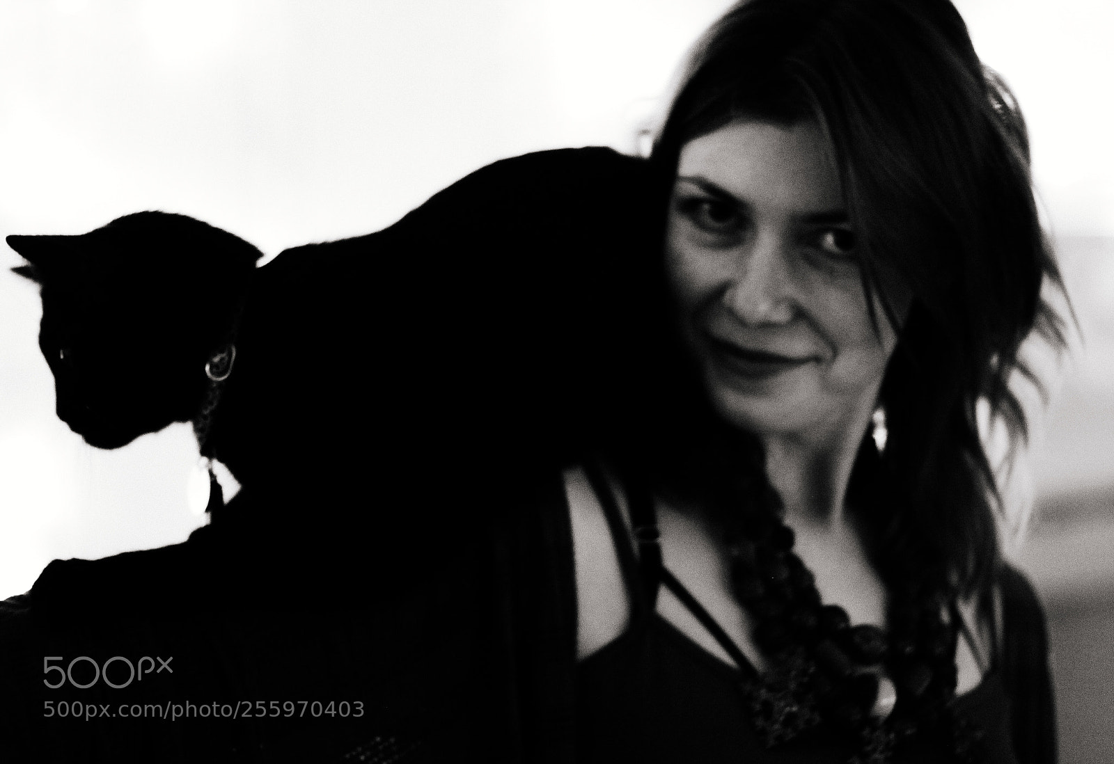 Canon EOS 550D (EOS Rebel T2i / EOS Kiss X4) sample photo. Mihail_zablodski photography