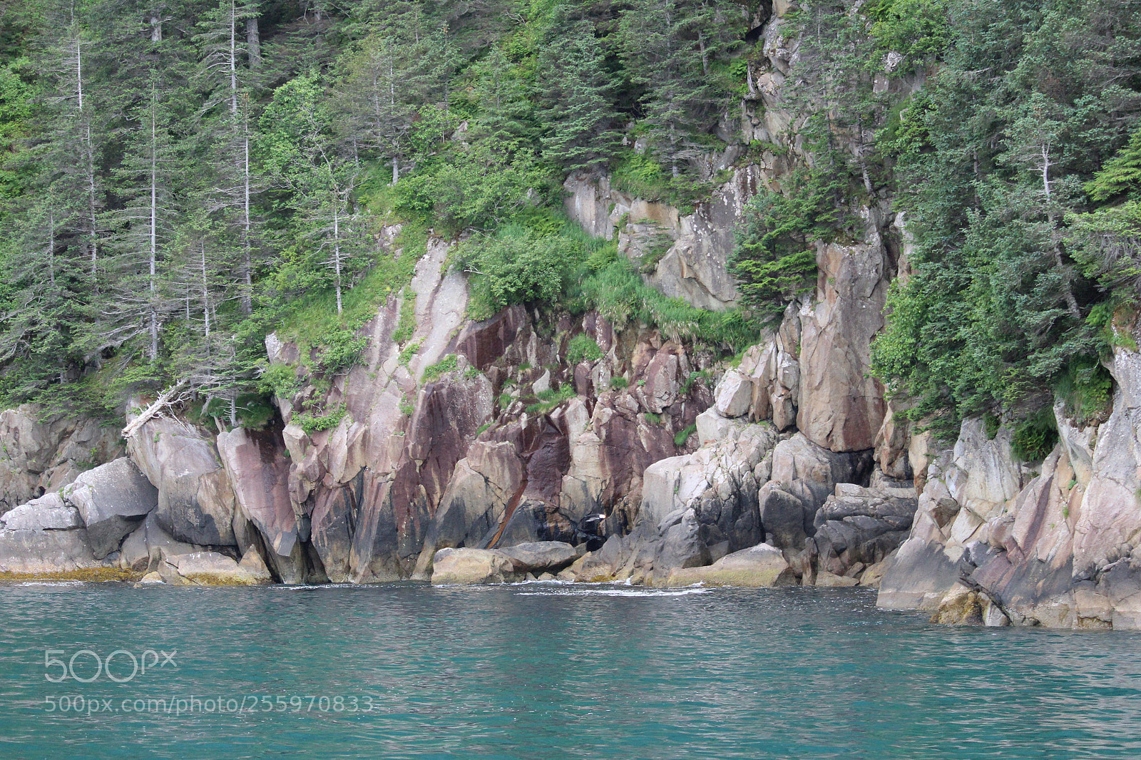 Canon EOS 1300D (EOS Rebel T6 / EOS Kiss X80) sample photo. Kenai fjords photography