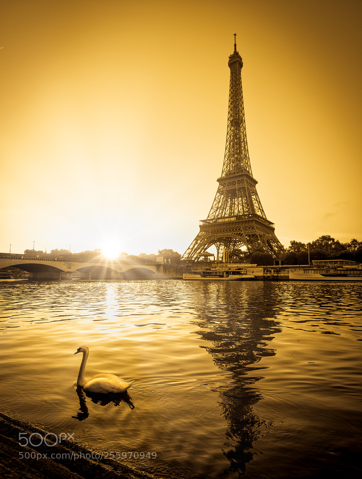 Sony a7R II sample photo. Eiffel tower rays photography