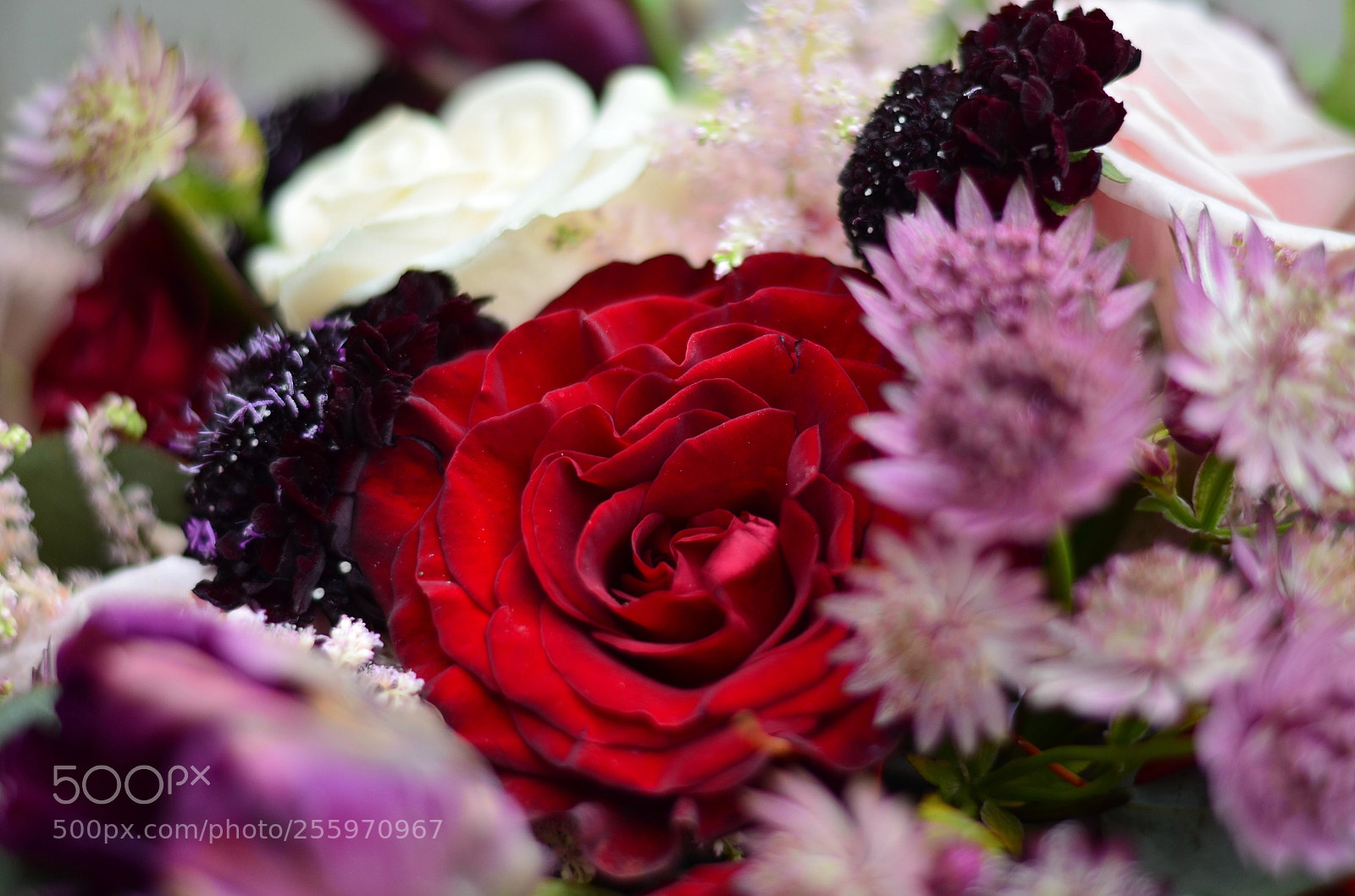 Nikon D5100 sample photo. Wedding bouquet ?  photography