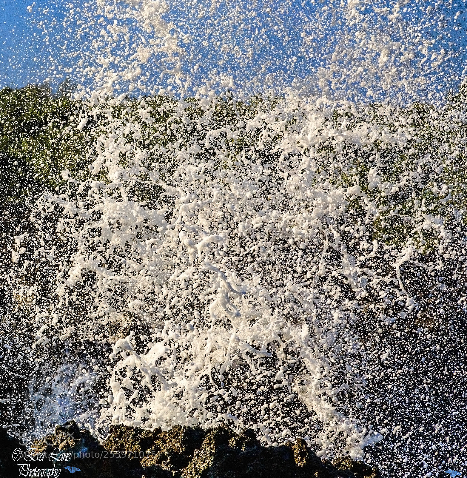 Canon EOS 6D sample photo. The outburst photography