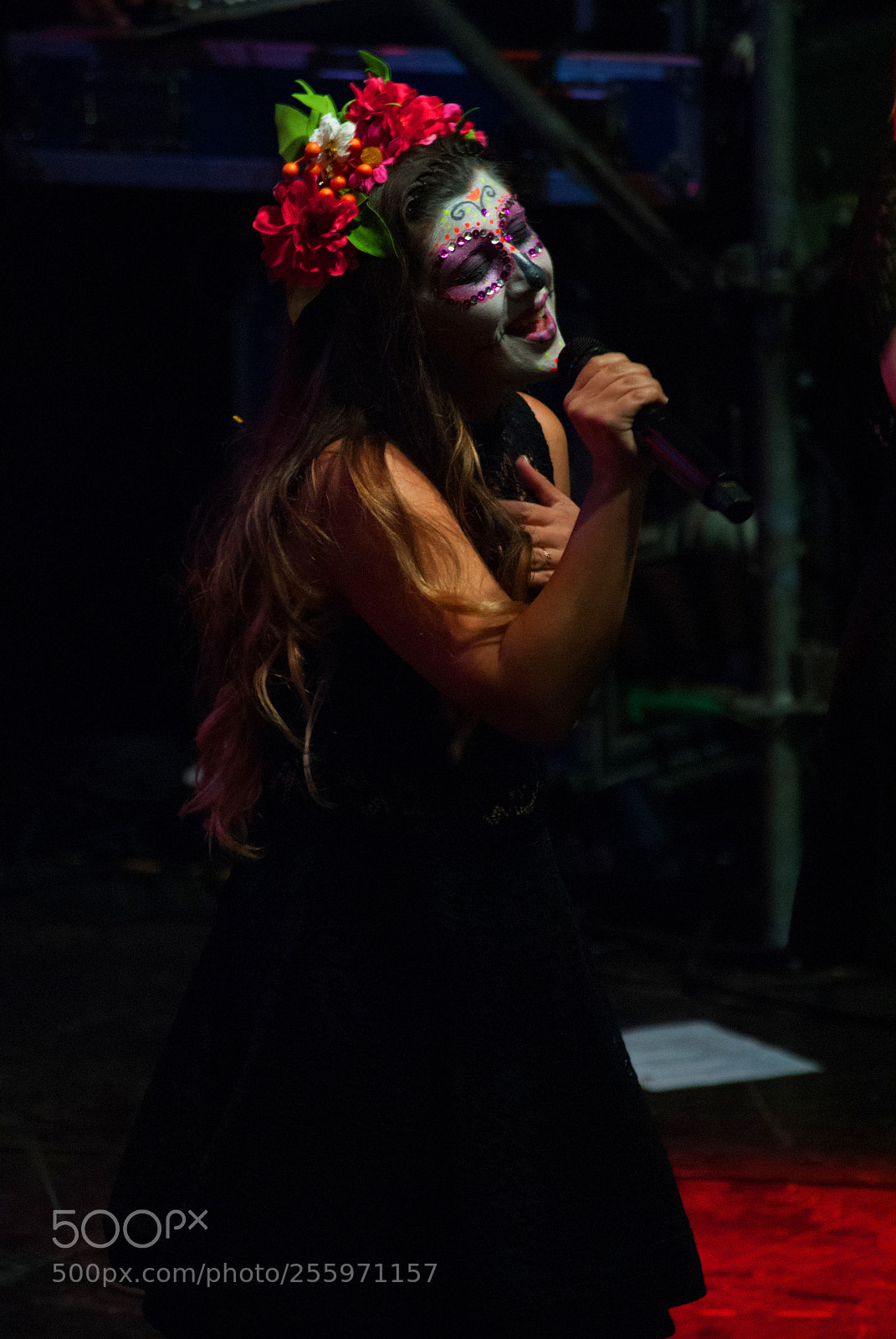 Nikon D3000 sample photo. Band: supernova photography