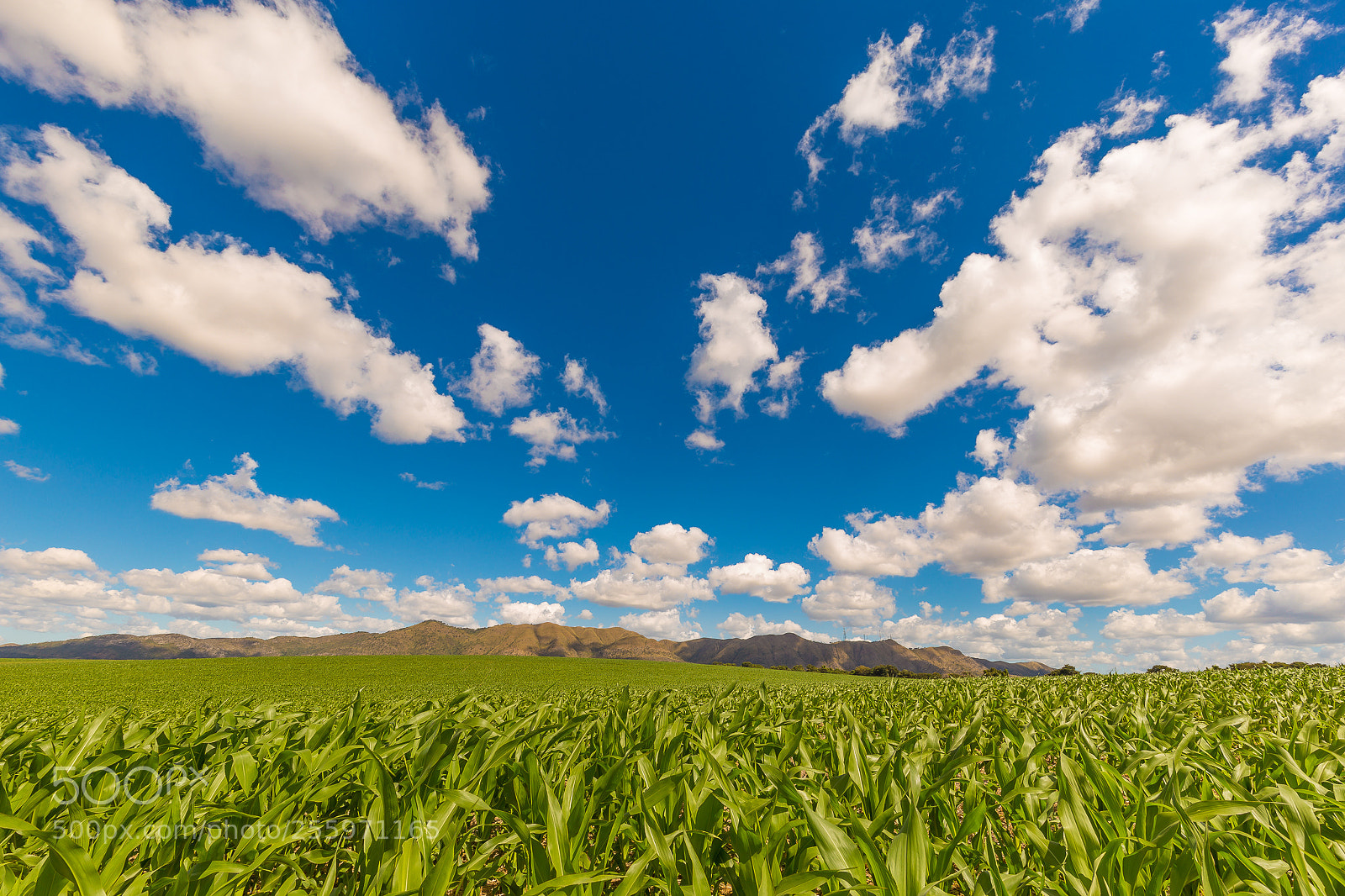 Canon EOS 6D sample photo. Untitled photography