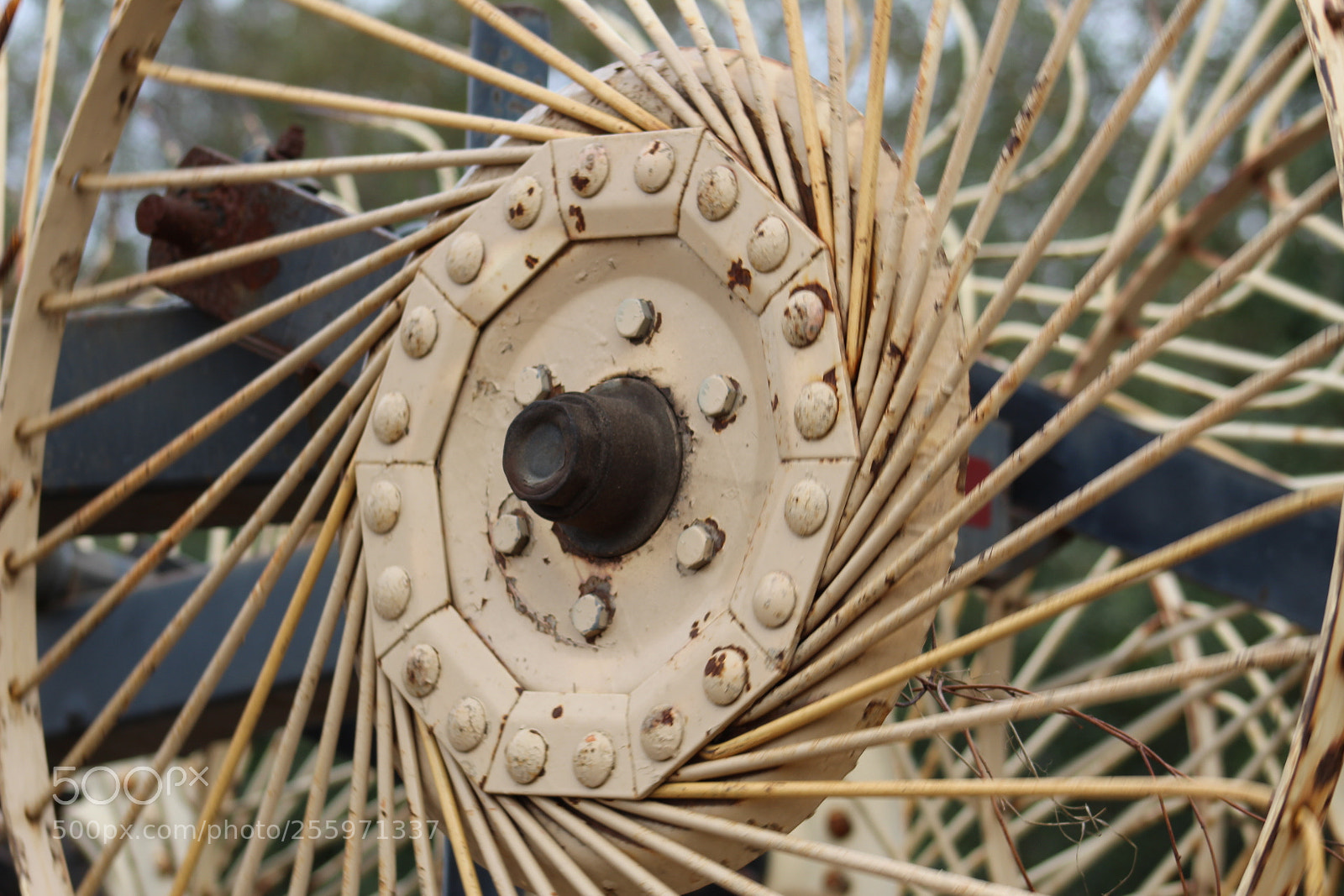 Canon EF 75-300mm f/4-5.6 sample photo. Rusty photography