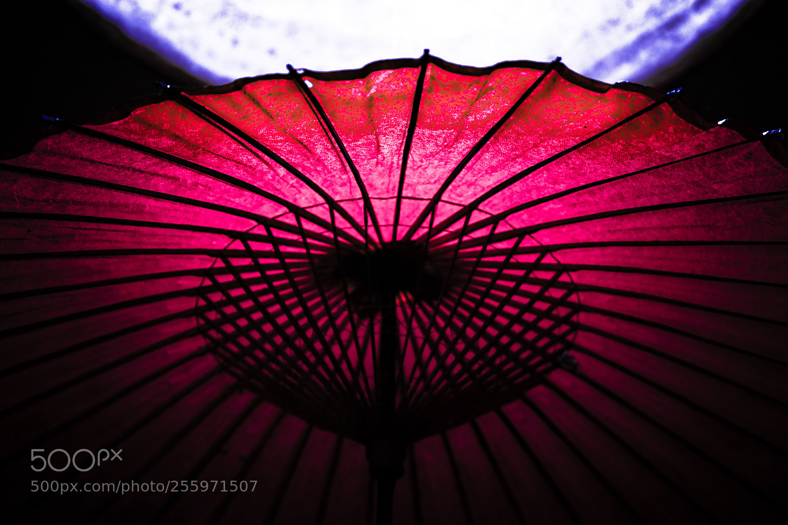 Fujifilm X-Pro2 sample photo. Umbrella  photography