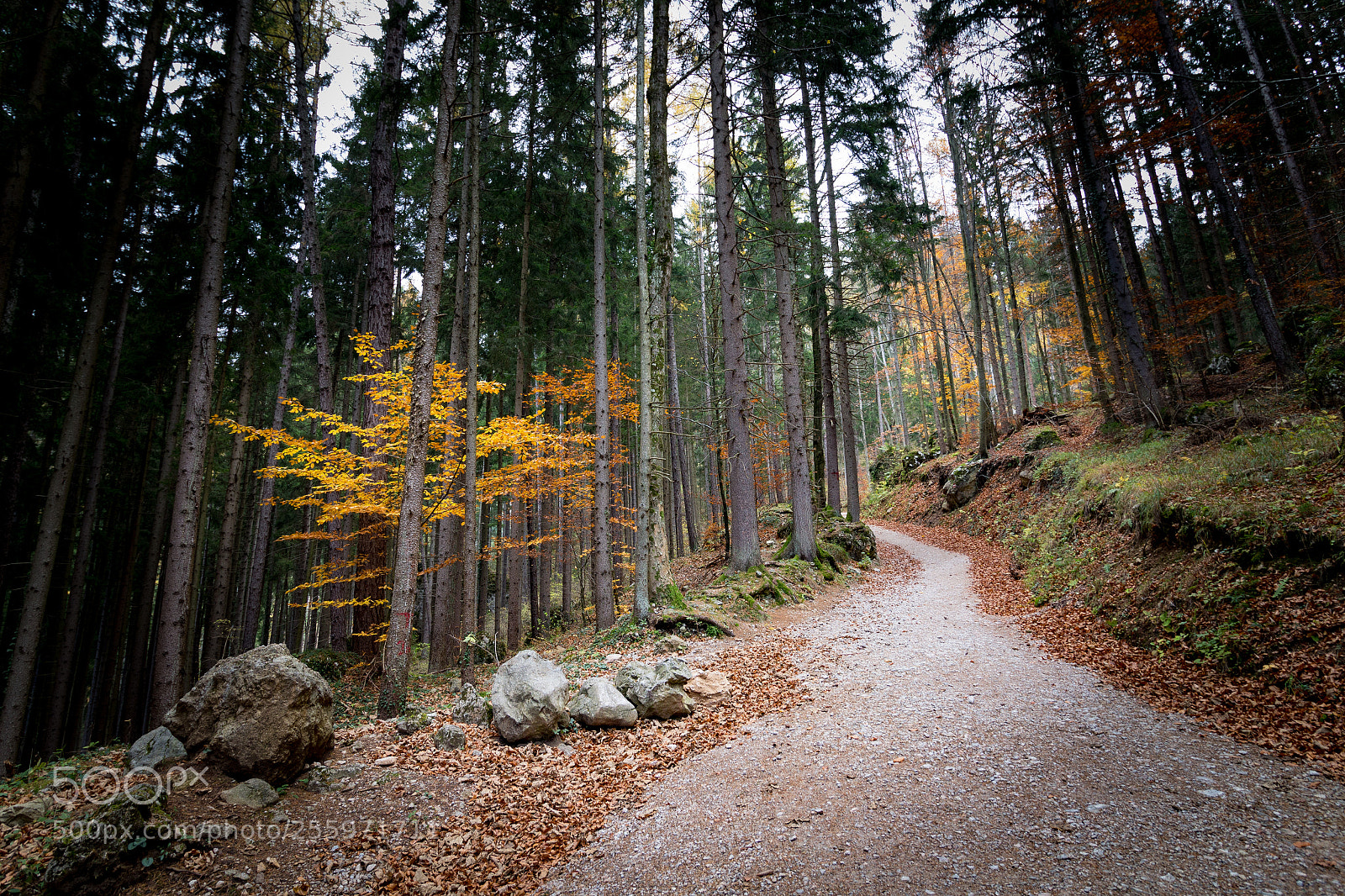 Canon EOS 700D (EOS Rebel T5i / EOS Kiss X7i) sample photo. Autumn bärenschützklamm photography
