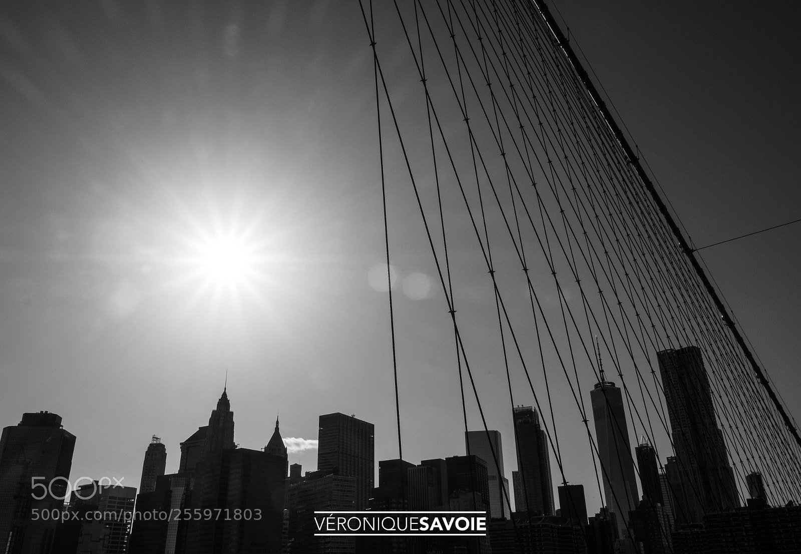 Fujifilm X-T10 sample photo. New york photography